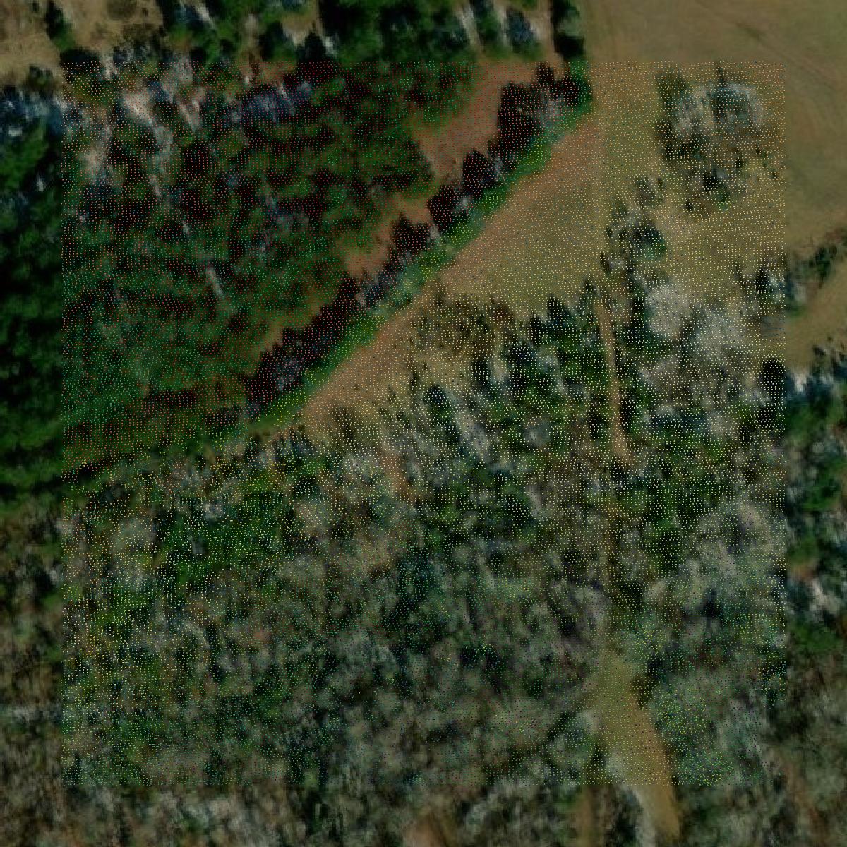 This image shows a LiDAR point cloud in Fairfield County created using GIS data in Equator.