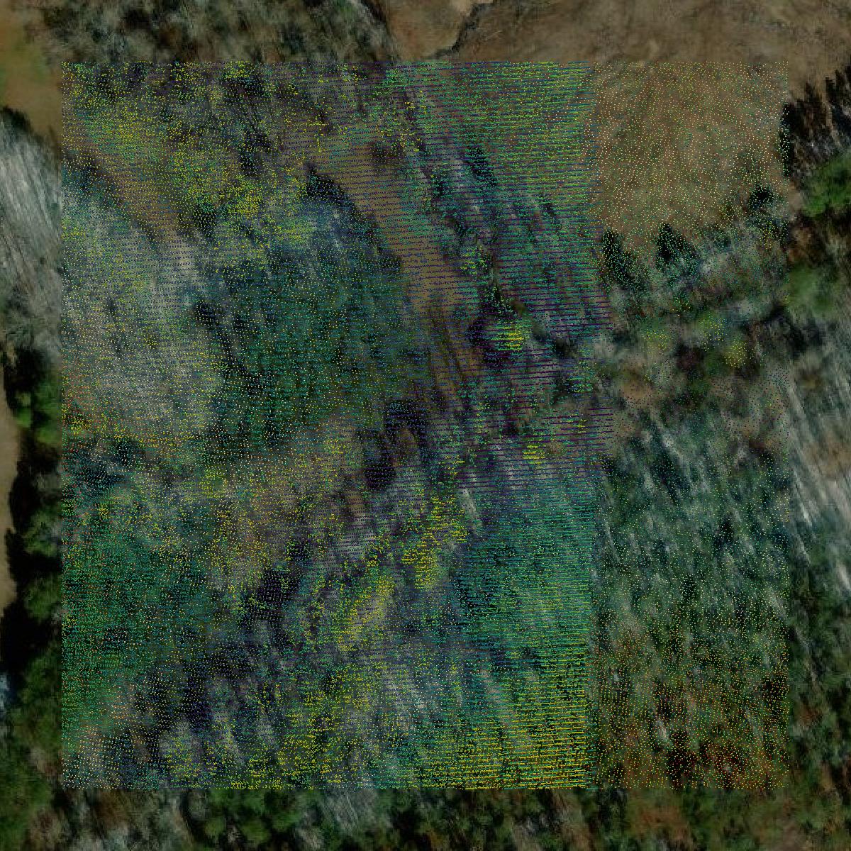 This image shows a LiDAR point cloud in Fairfield County created using GIS data in Equator.