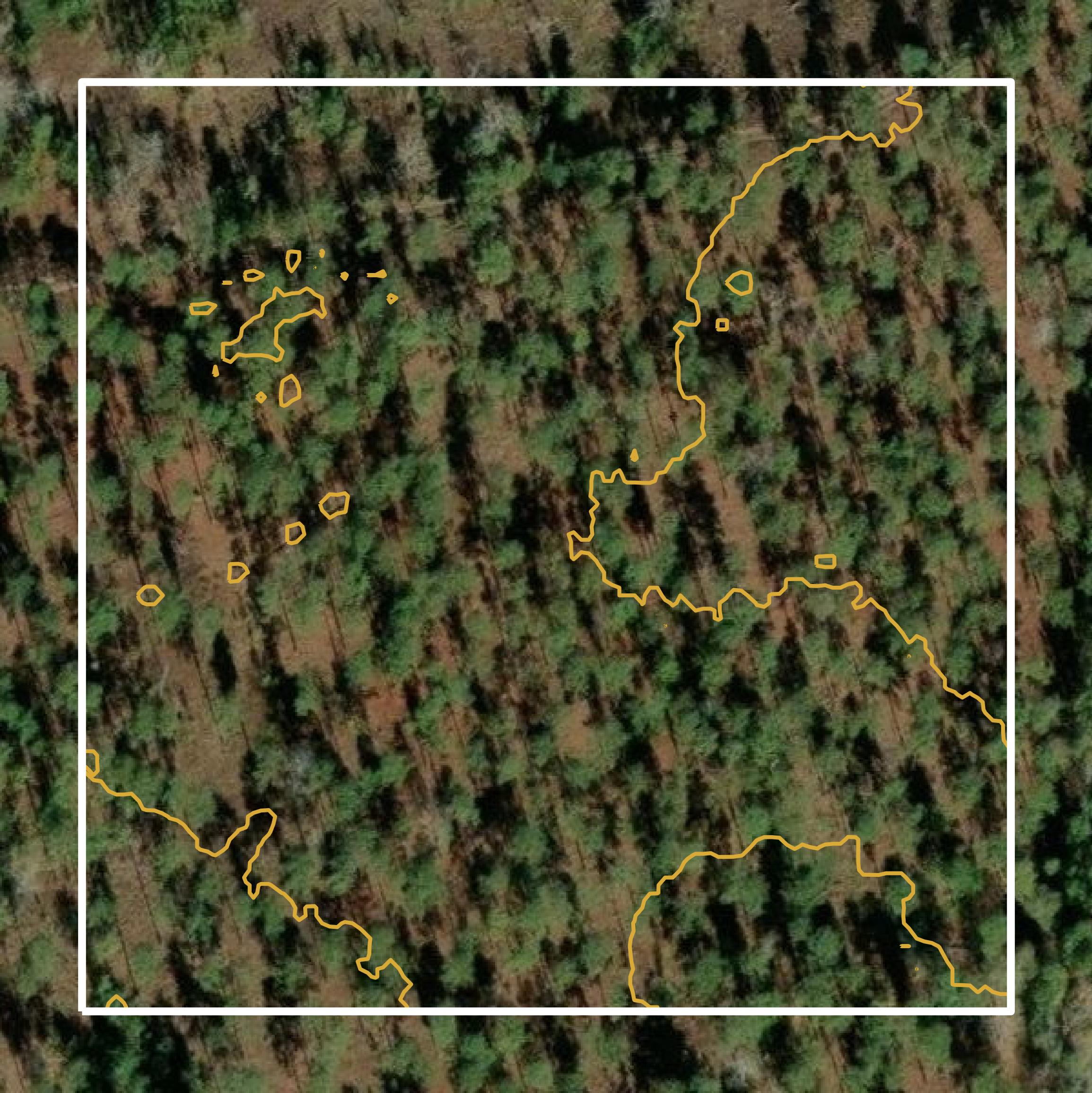 This image shows a contour map in Florence County created using GIS data in Equator.