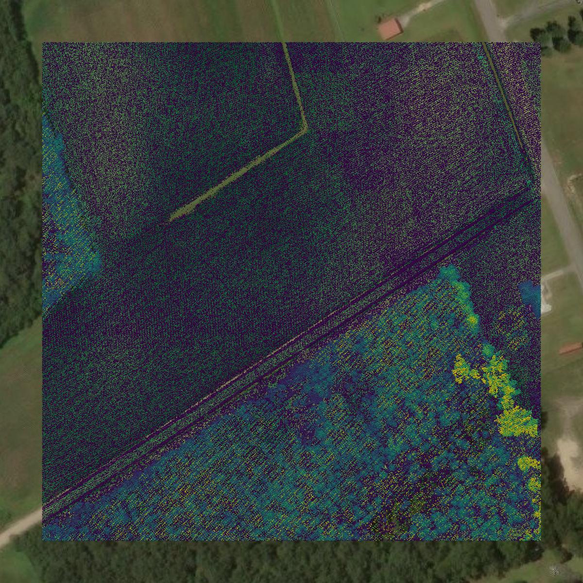 This image shows a LiDAR point cloud in Florence County created using GIS data in Equator.