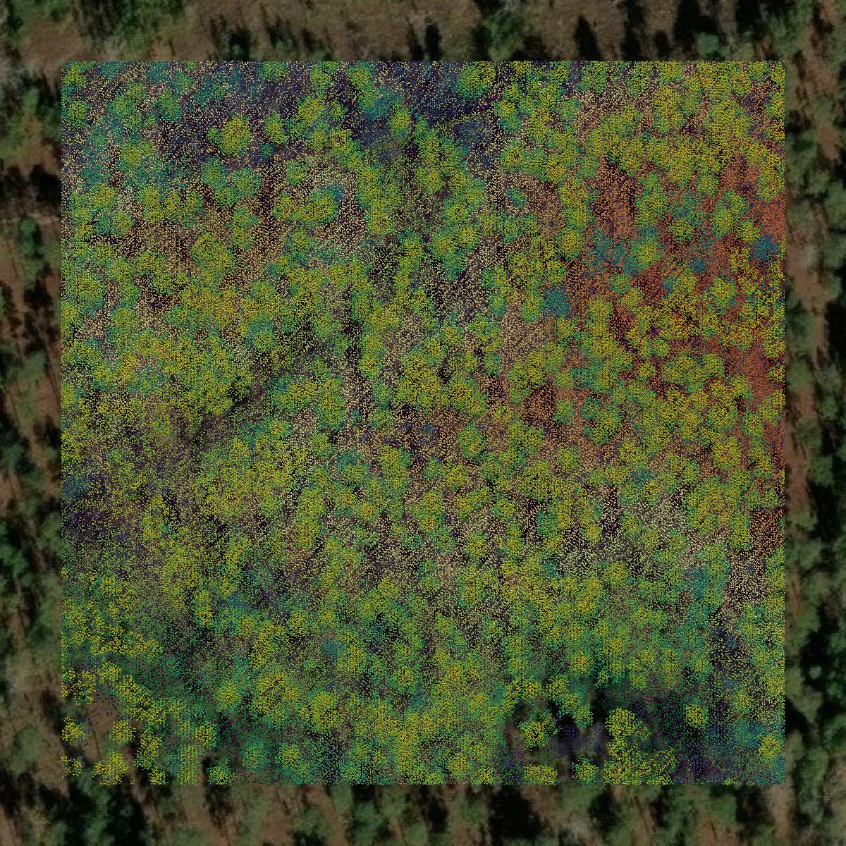 This image shows a LiDAR point cloud in Florence County created using GIS data in Equator.