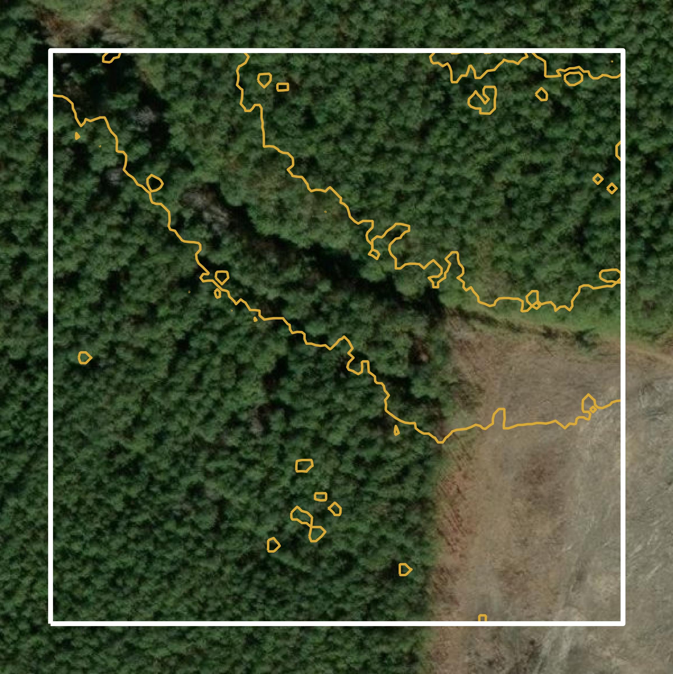 This image shows a contour map in Georgetown County created using GIS data in Equator.