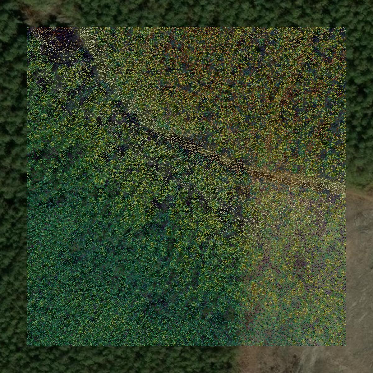 This image shows a LiDAR point cloud in Georgetown County created using GIS data in Equator.
