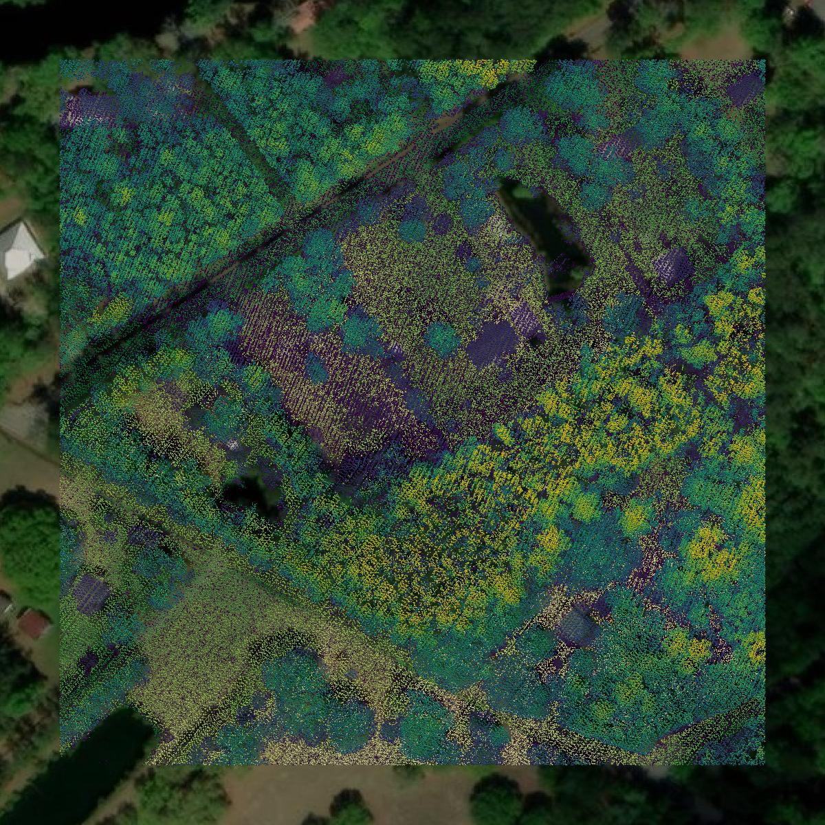 This image shows a LiDAR point cloud in Georgetown County created using GIS data in Equator.