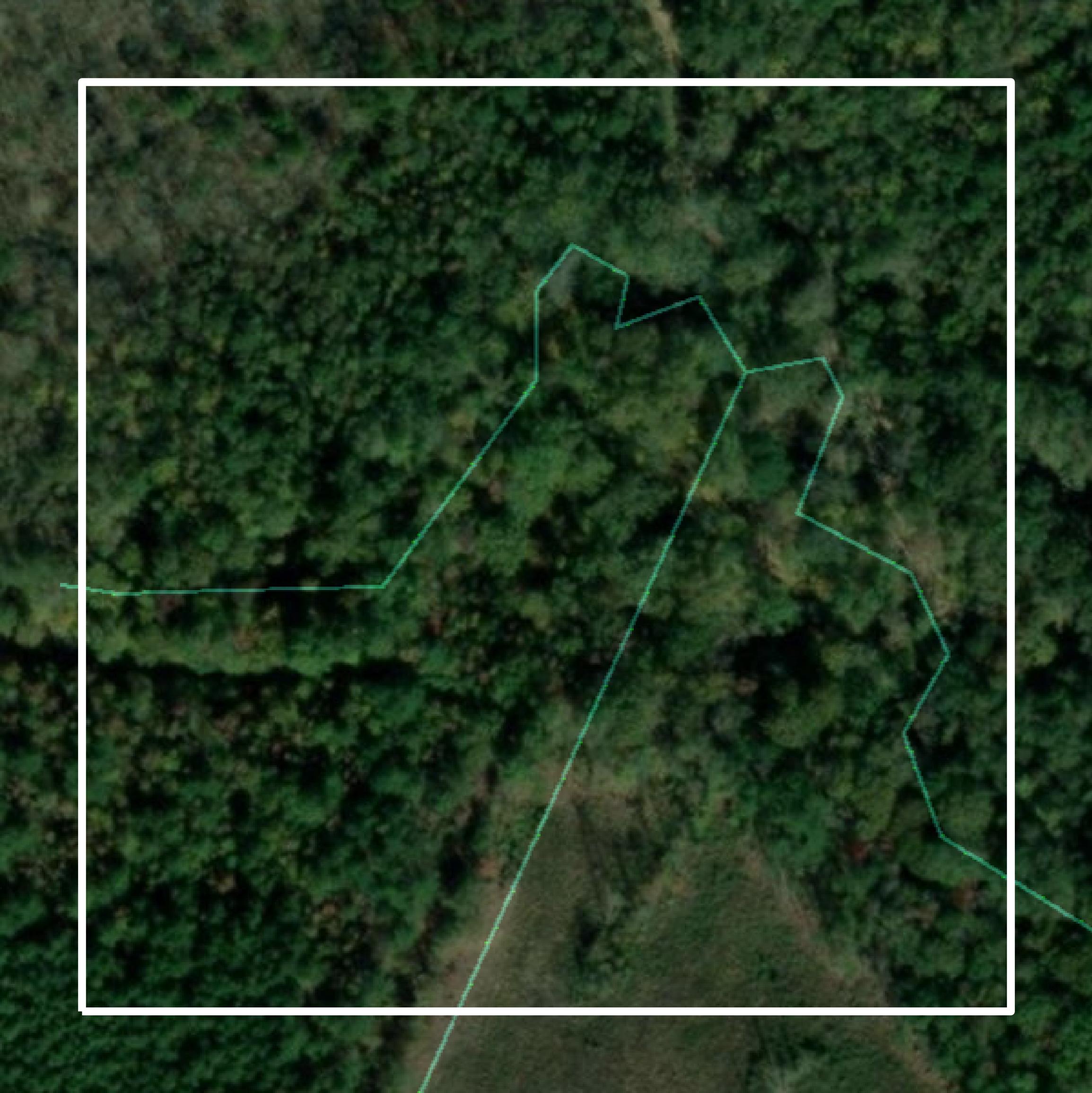 This image shows parcel and building data in Greenwood County created using GIS data in Equator.