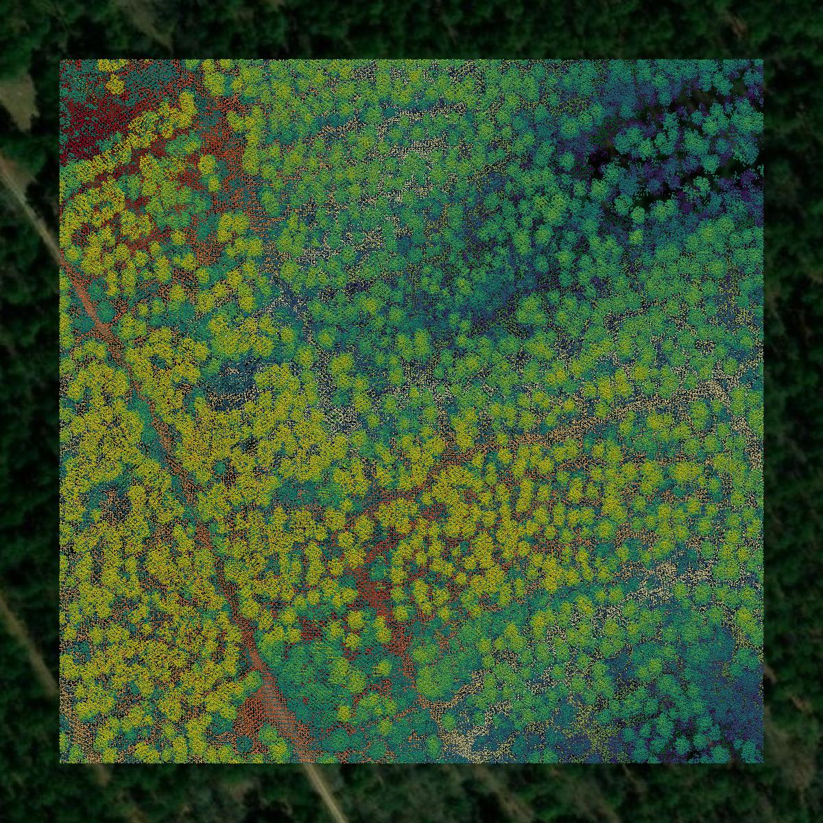 This image shows a LiDAR point cloud in Greenwood County created using GIS data in Equator.