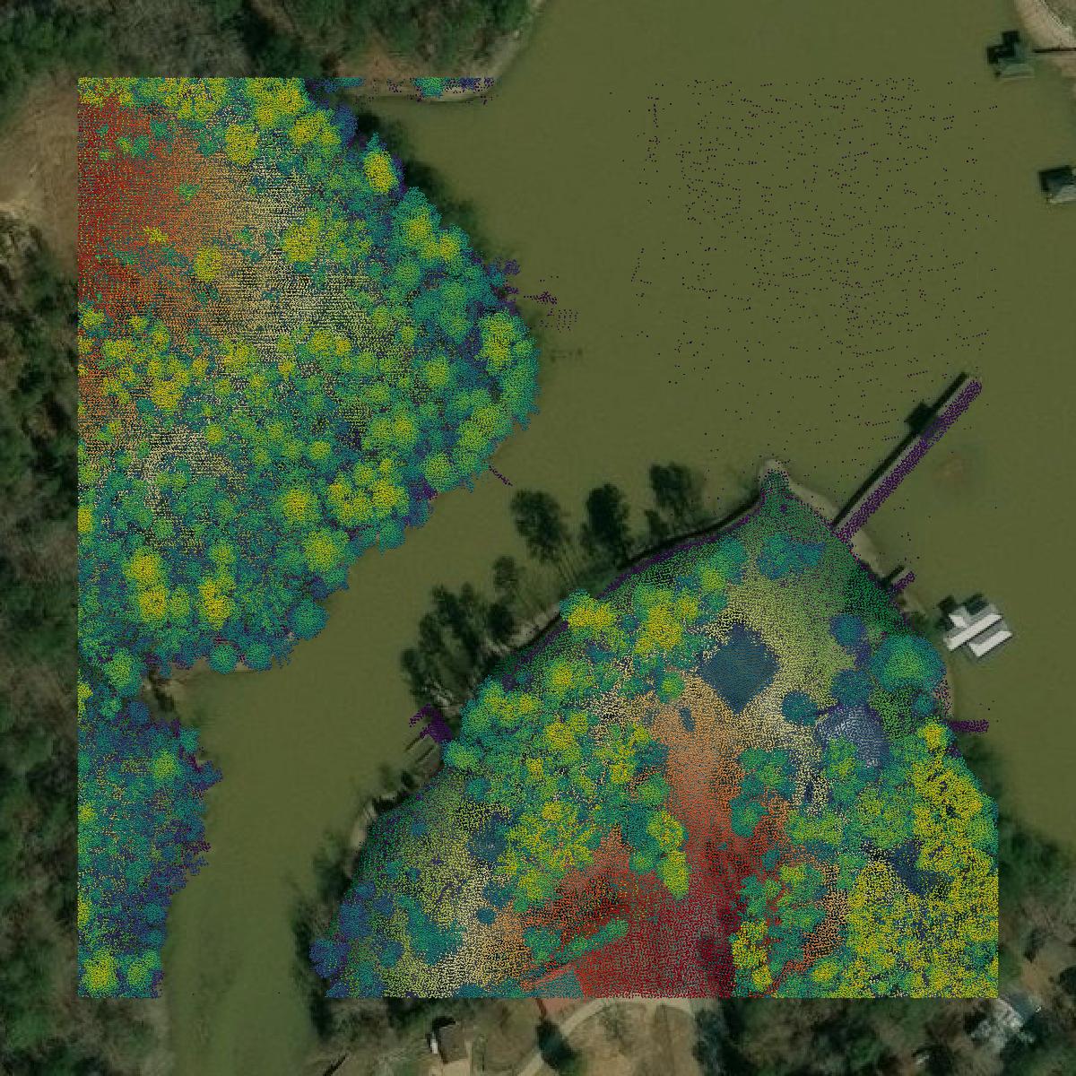 This image shows a LiDAR point cloud in Greenwood County created using GIS data in Equator.