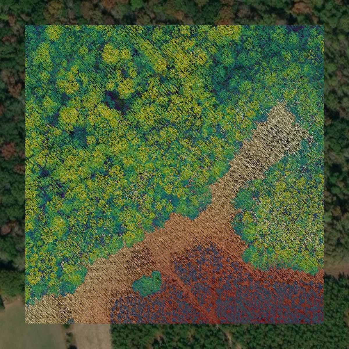 This image shows a LiDAR point cloud in Hampton County created using GIS data in Equator.