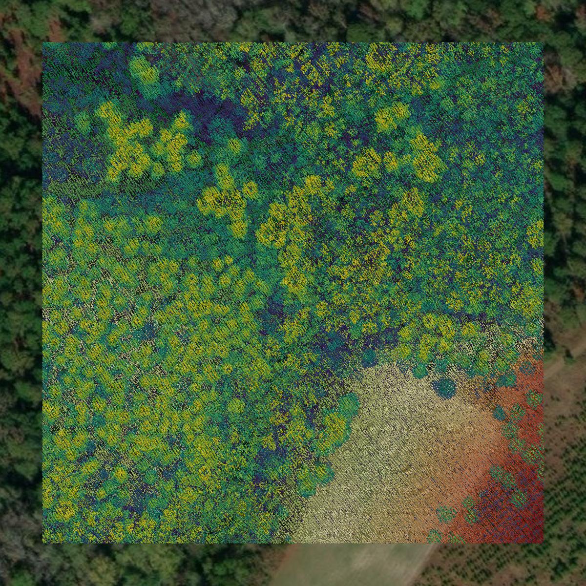 This image shows a LiDAR point cloud in Hampton County created using GIS data in Equator.