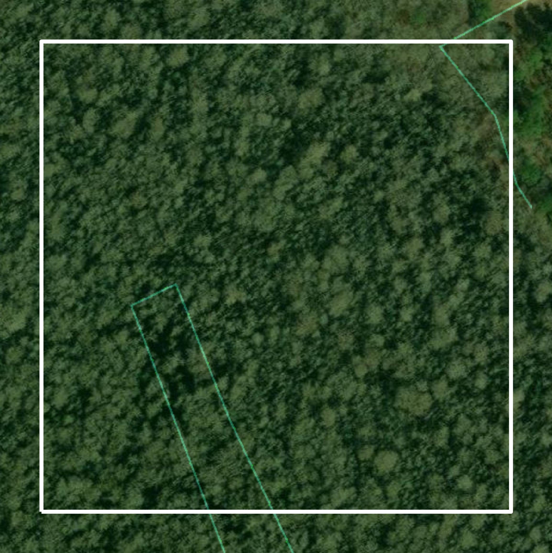 This image shows parcel and building data in Horry County created using GIS data in Equator.