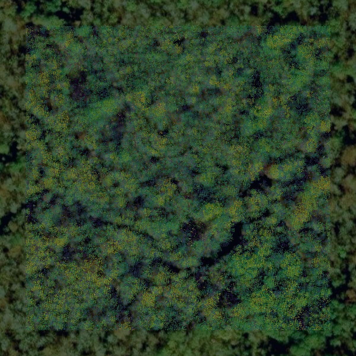 This image shows a LiDAR point cloud in Horry County created using GIS data in Equator.