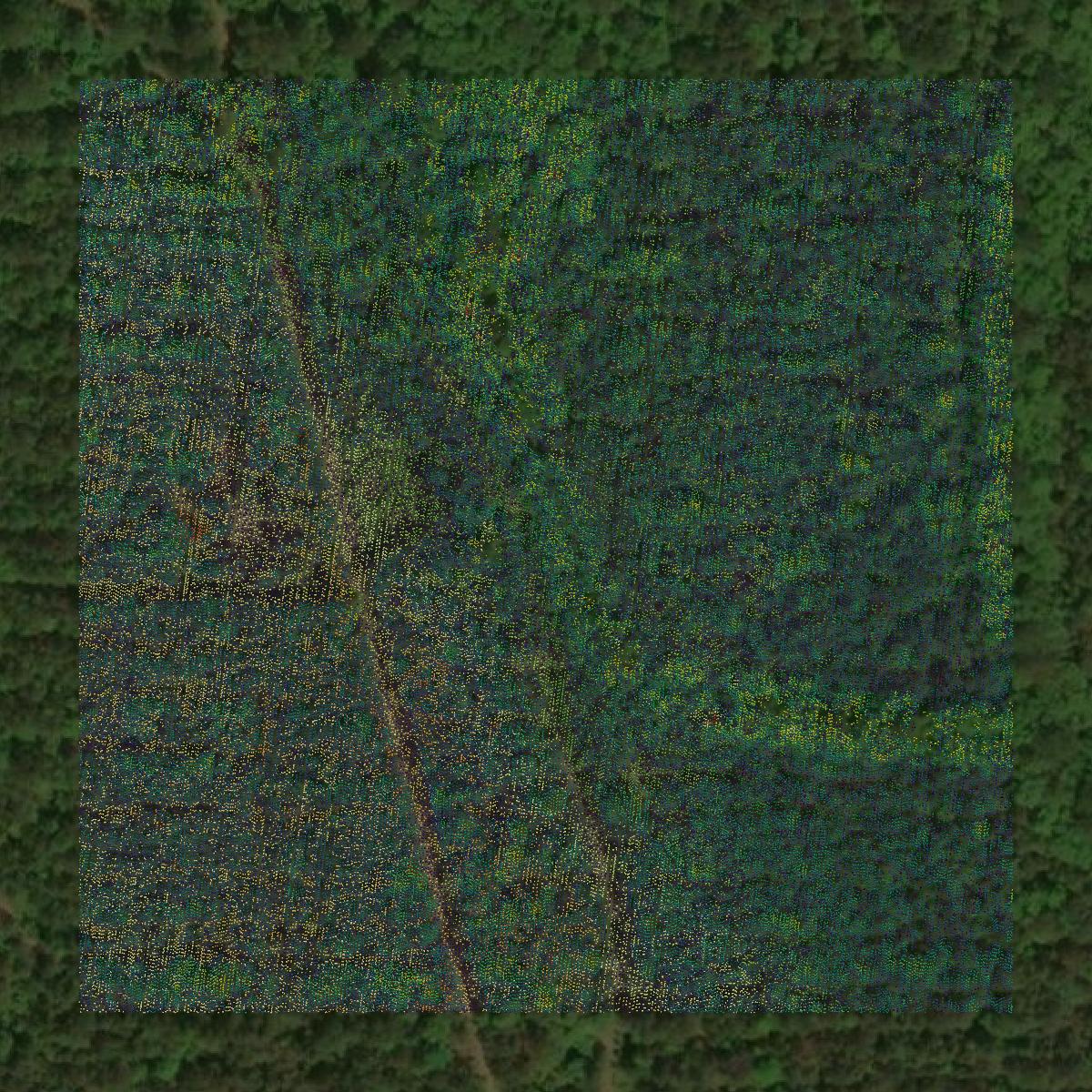 This image shows a LiDAR point cloud in Jasper County created using GIS data in Equator.
