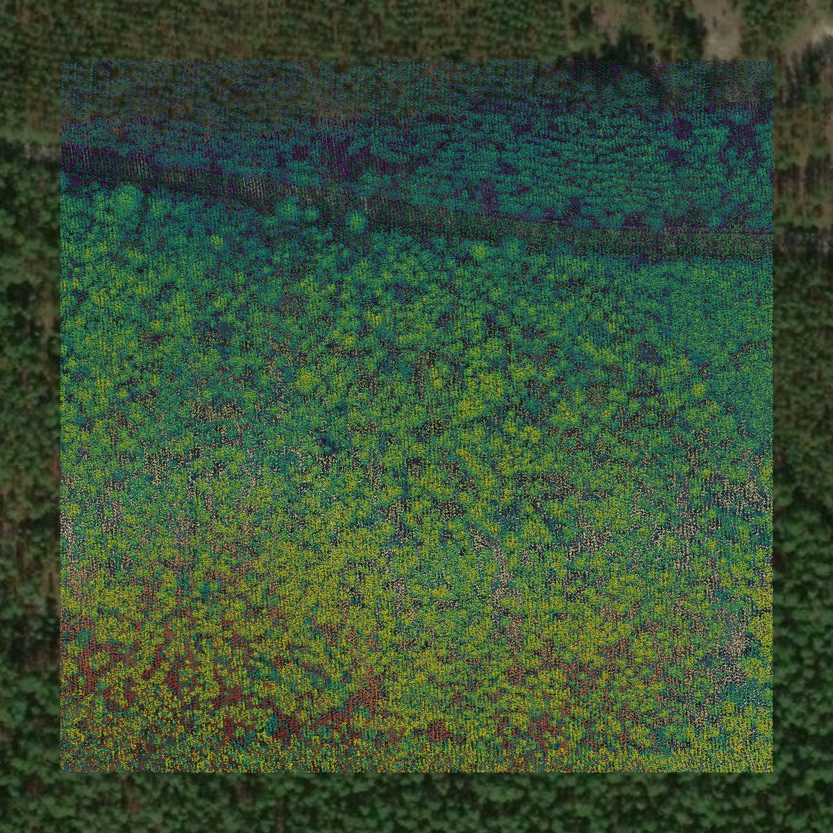 This image shows a LiDAR point cloud in Kershaw County created using GIS data in Equator.