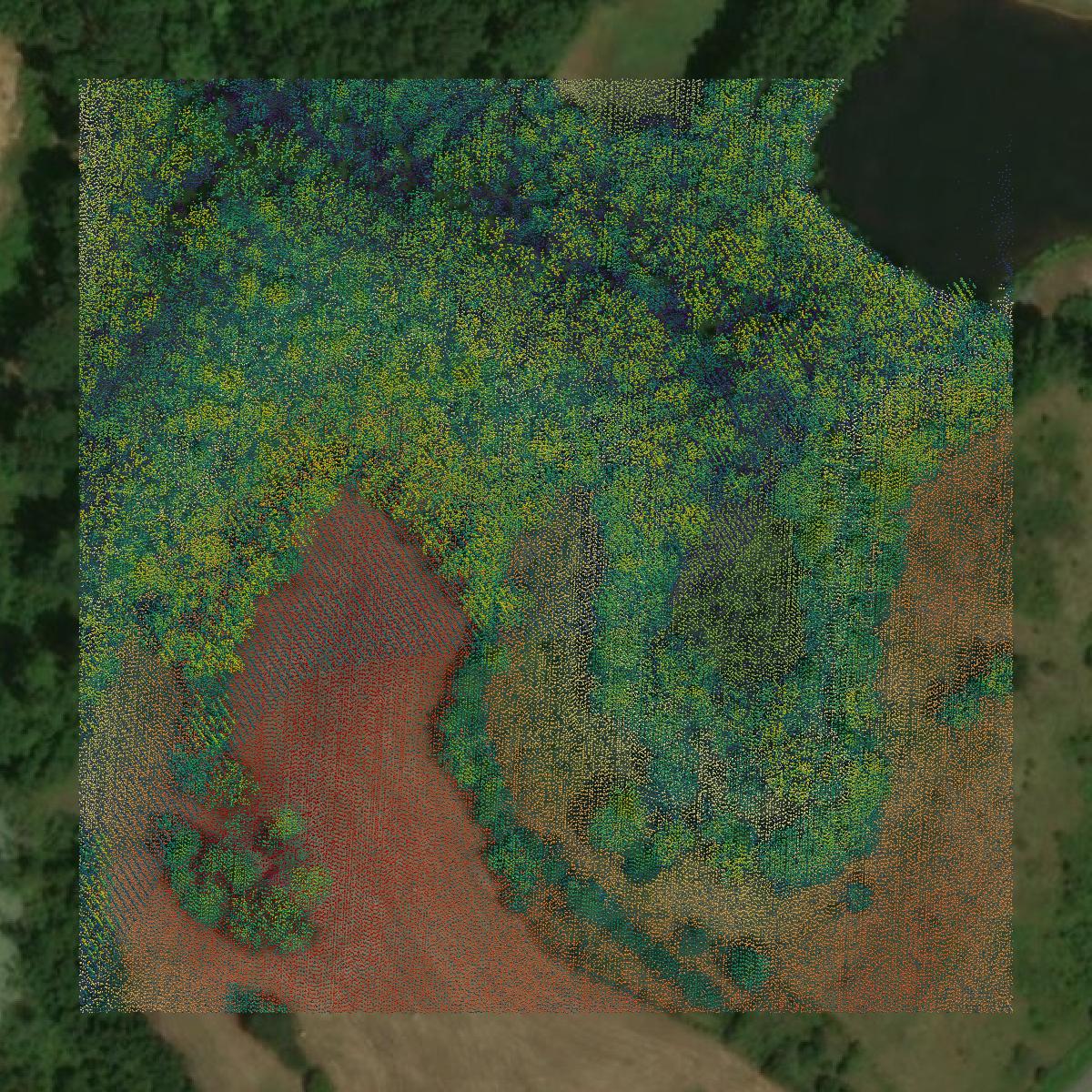 This image shows a LiDAR point cloud in Kershaw County created using GIS data in Equator.