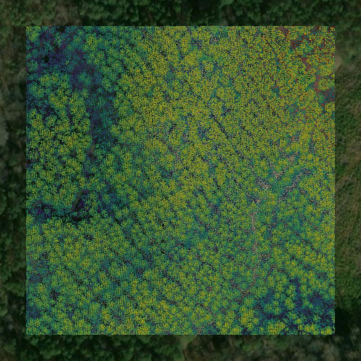 This image shows a LiDAR point cloud in Lancaster County created using GIS data in Equator.
