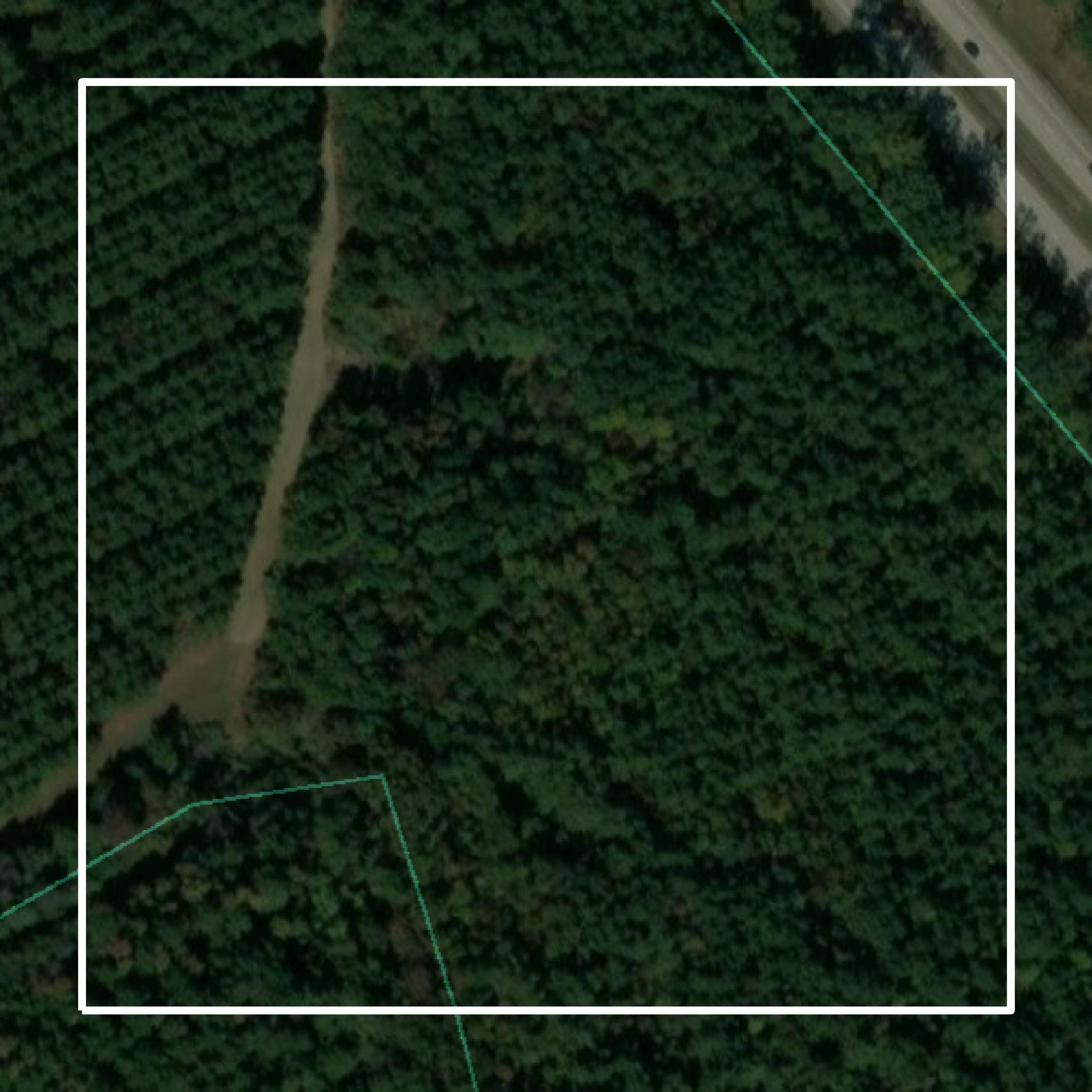 This image shows parcel and building data in Laurens County created using GIS data in Equator.