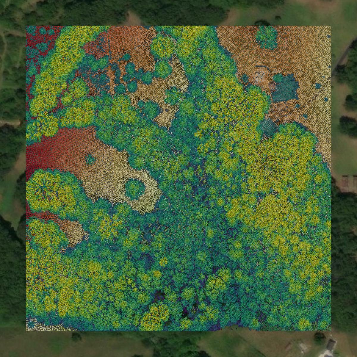 This image shows a LiDAR point cloud in Laurens County created using GIS data in Equator.
