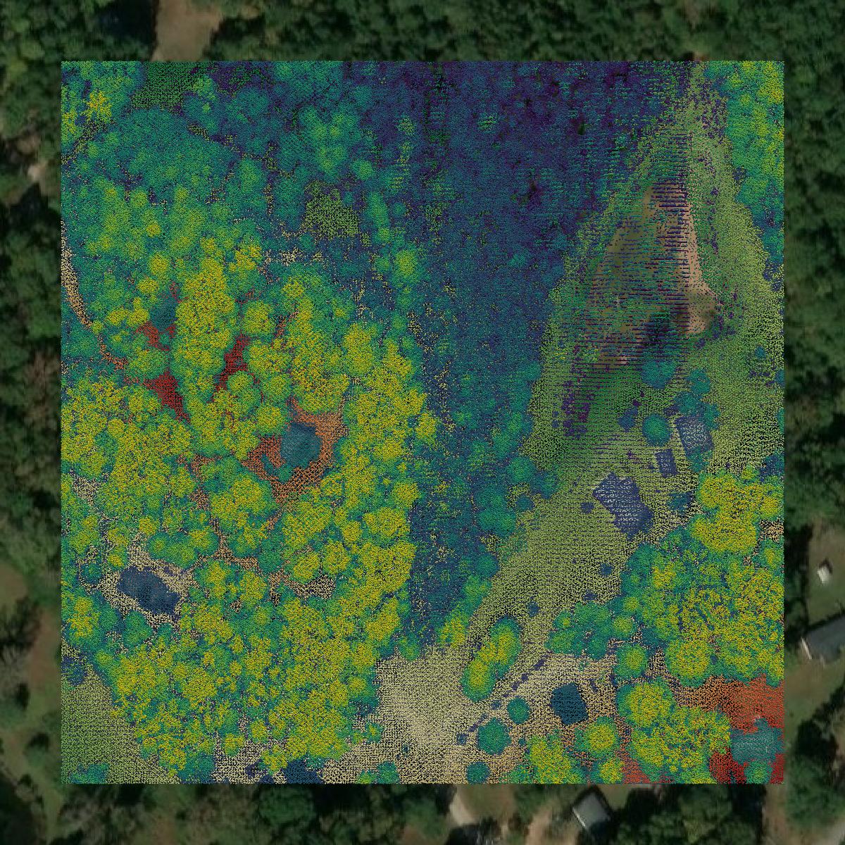 This image shows a LiDAR point cloud in Laurens County created using GIS data in Equator.