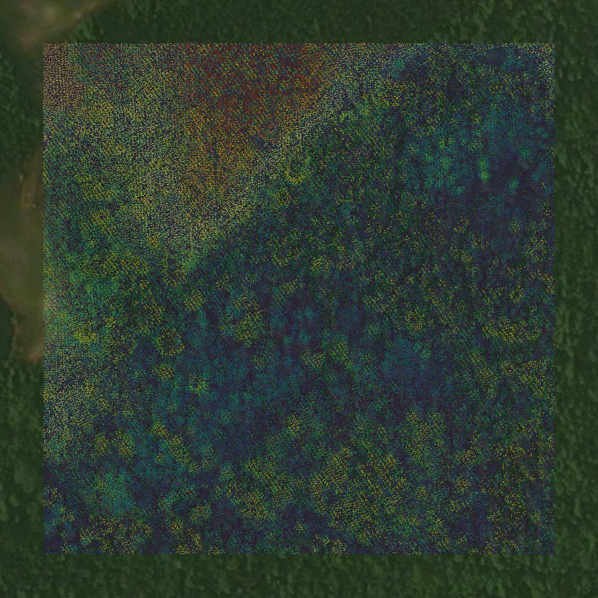 This image shows a LiDAR point cloud in Lee County created using GIS data in Equator.