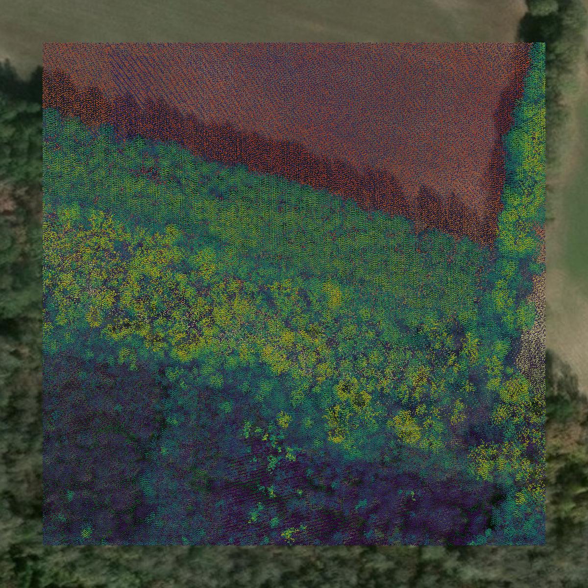 This image shows a LiDAR point cloud in Lee County created using GIS data in Equator.