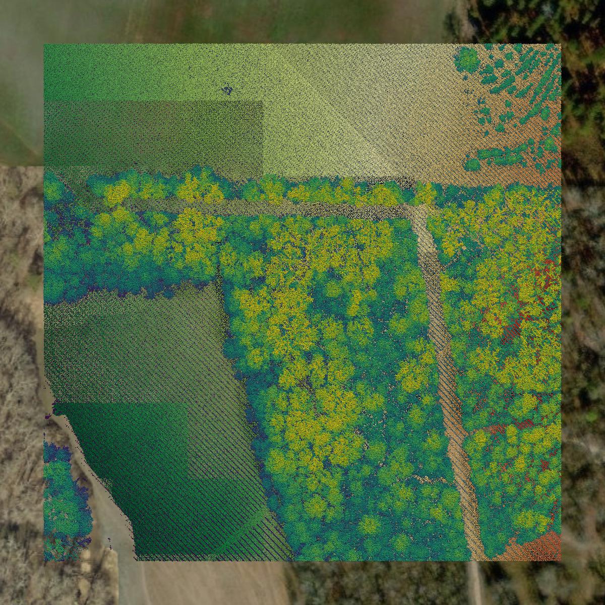This image shows a LiDAR point cloud in Lexington County created using GIS data in Equator.