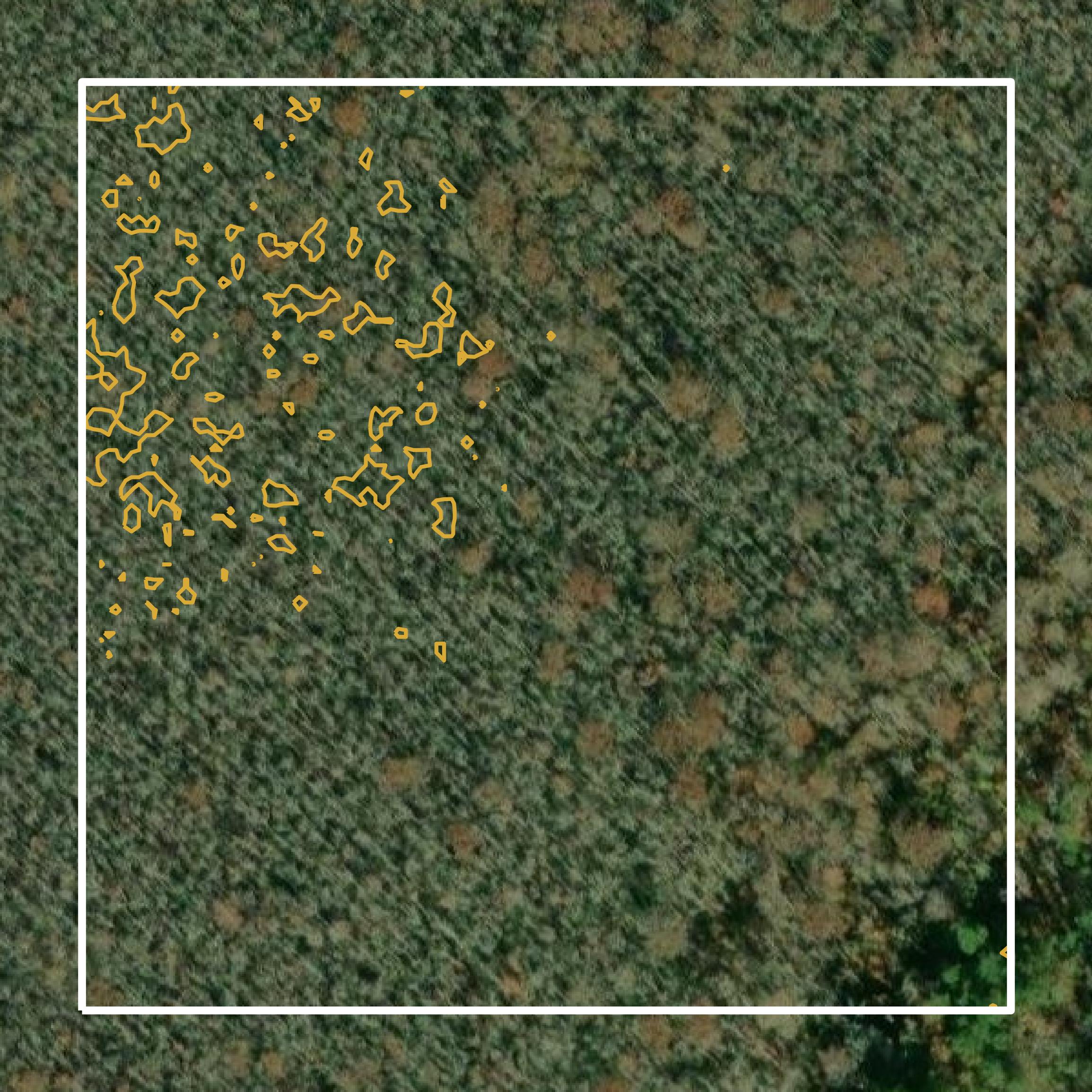 This image shows a contour map in Marion County created using GIS data in Equator.