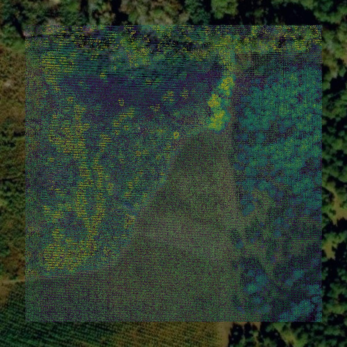 This image shows a LiDAR point cloud in Marion County created using GIS data in Equator.