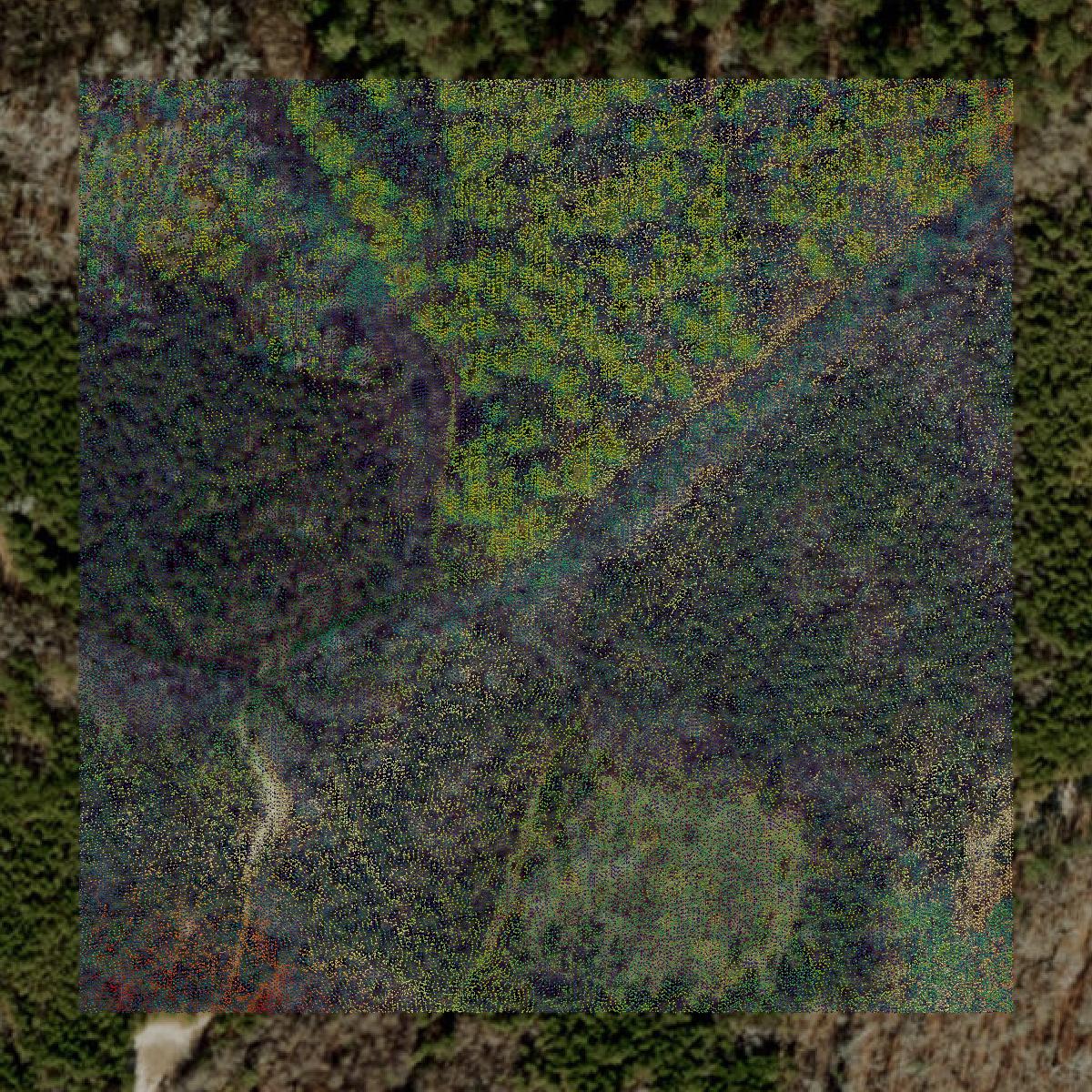 This image shows a LiDAR point cloud in Marlboro County created using GIS data in Equator.
