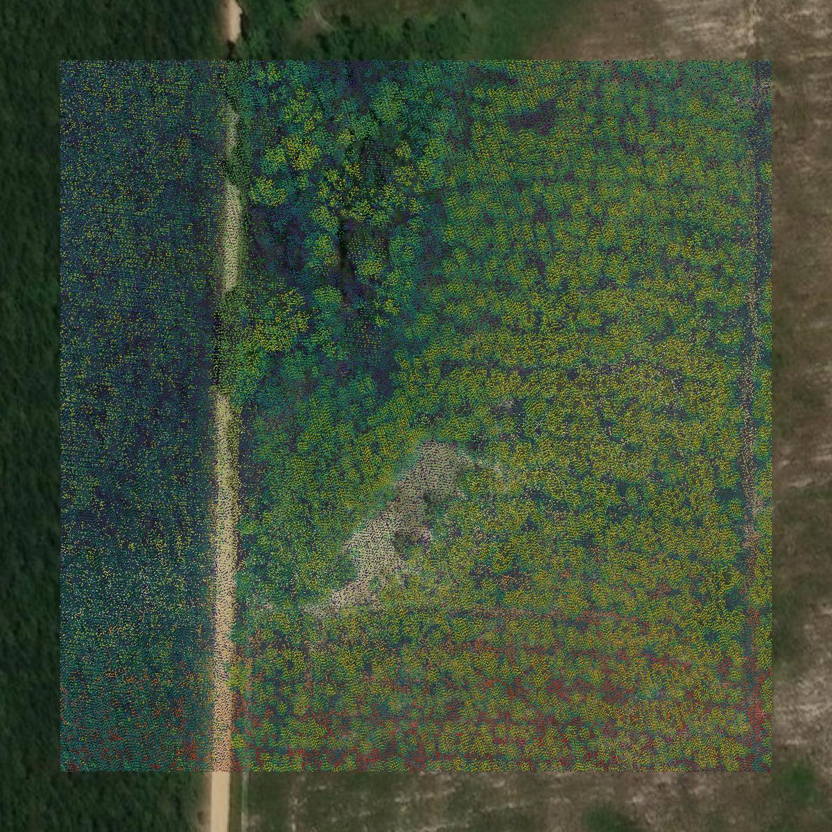 This image shows a LiDAR point cloud in Marlboro County created using GIS data in Equator.