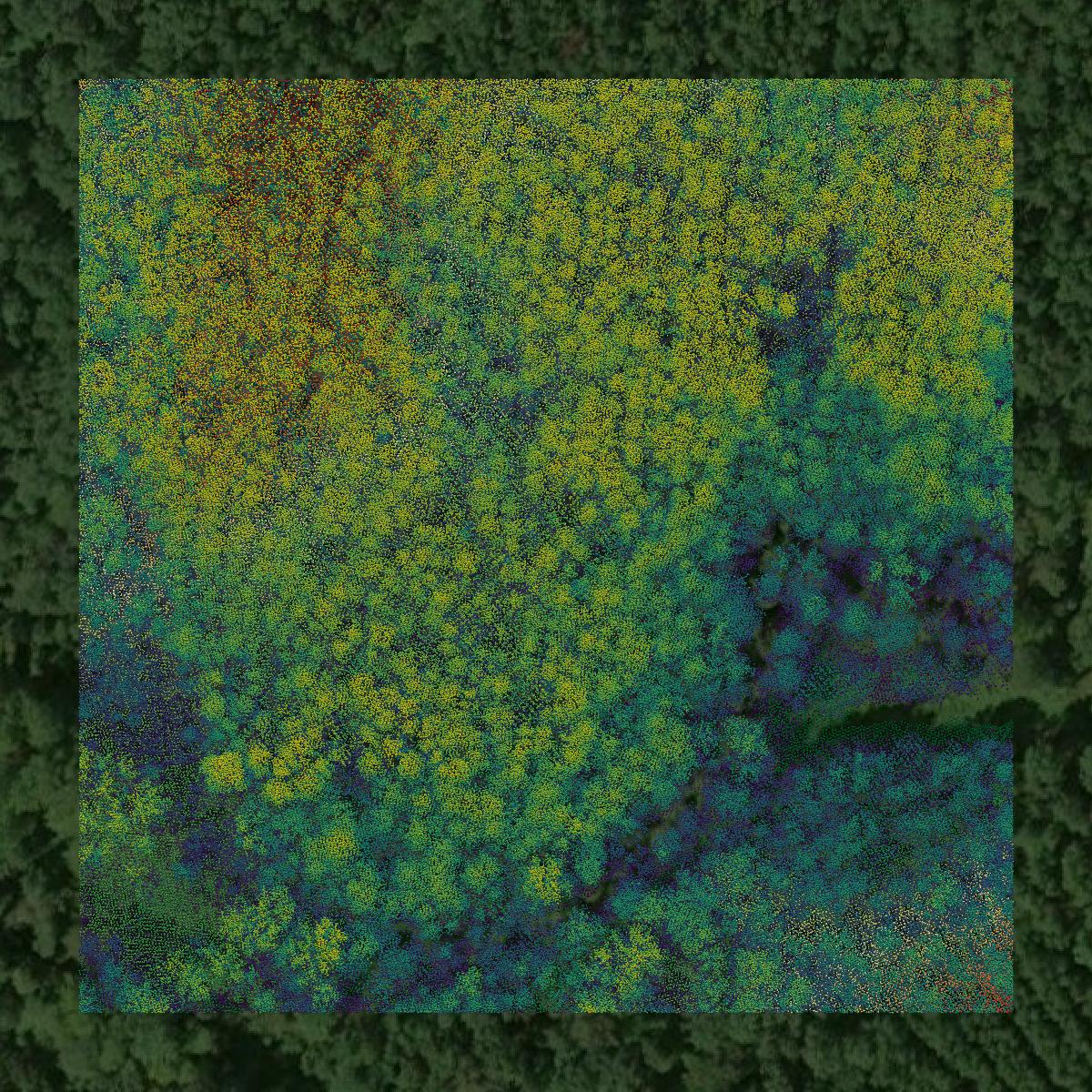 This image shows a LiDAR point cloud in McCormick County created using GIS data in Equator.