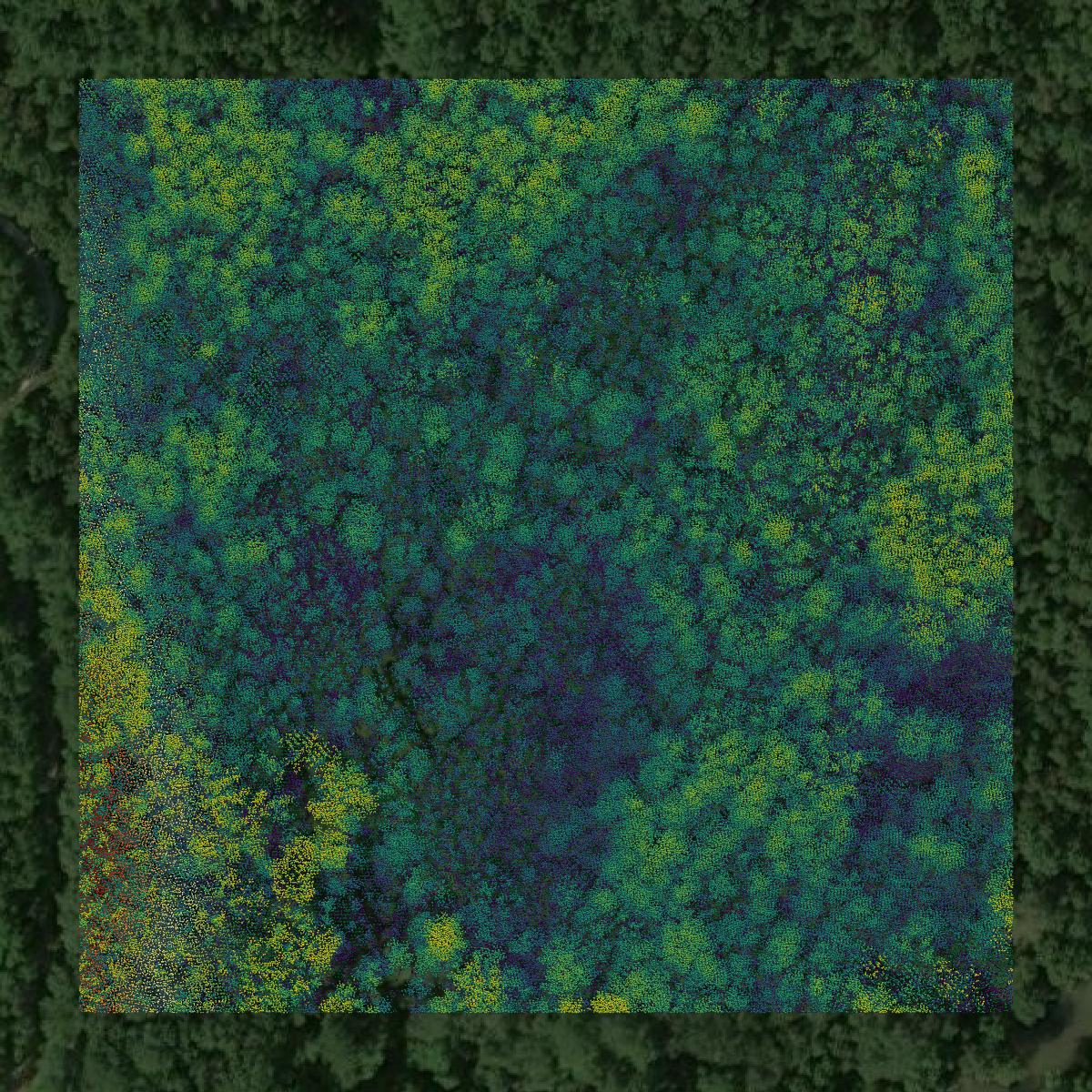 This image shows a LiDAR point cloud in McCormick County created using GIS data in Equator.
