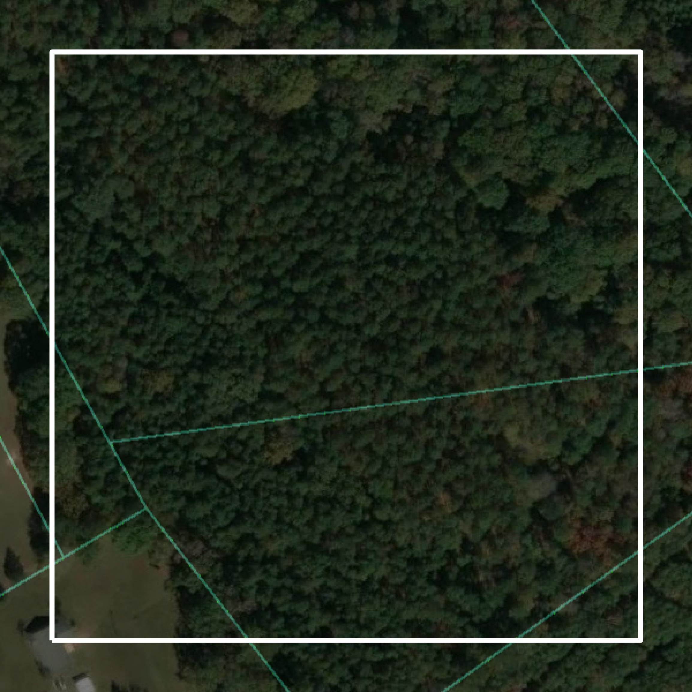 This image shows parcel and building data in Newberry County created using GIS data in Equator.
