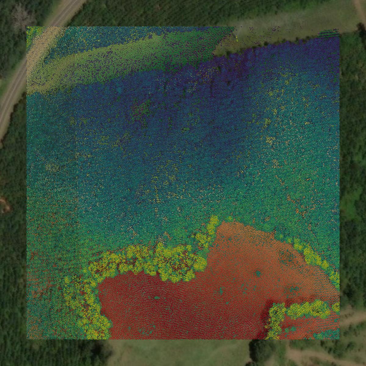 This image shows a LiDAR point cloud in Newberry County created using GIS data in Equator.