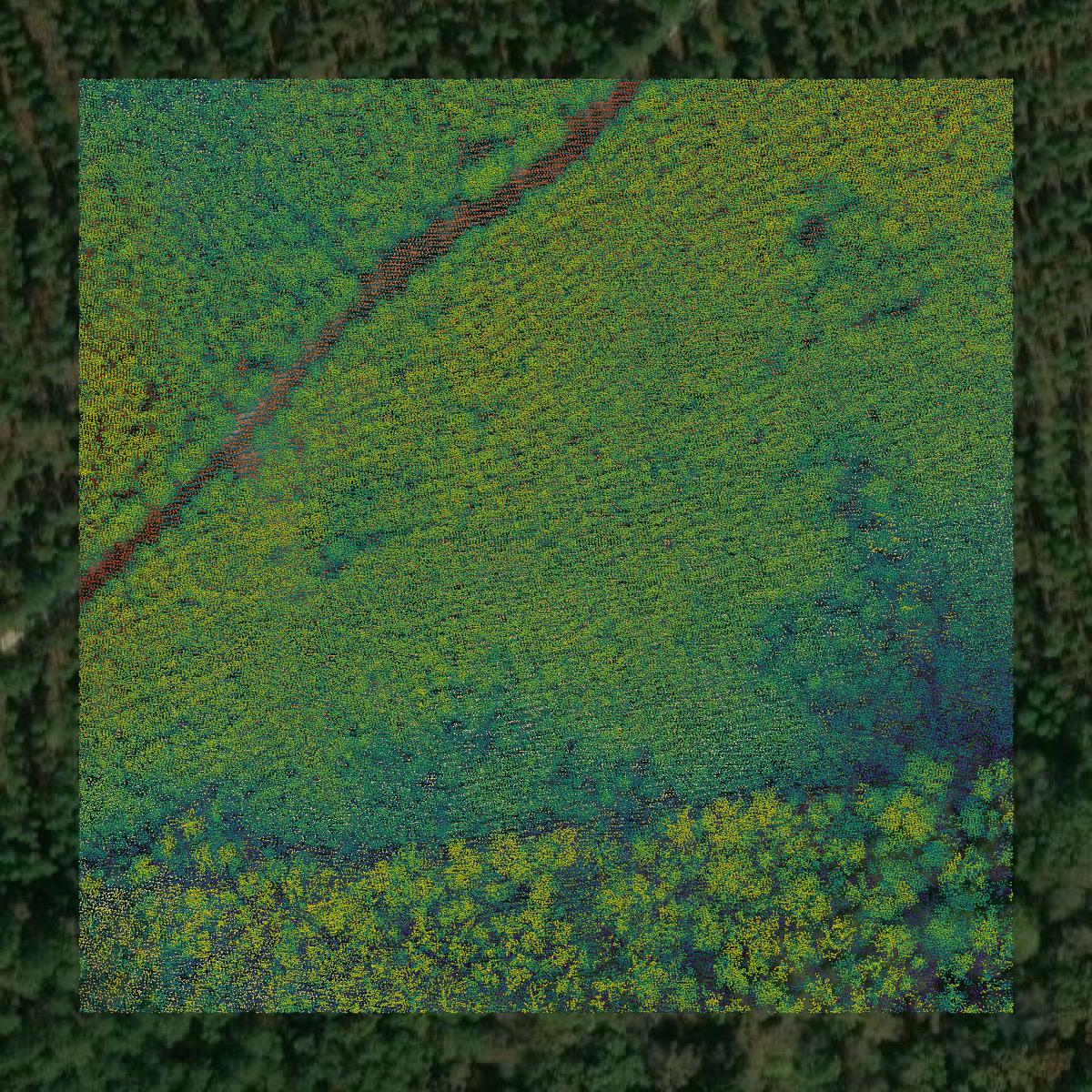 This image shows a LiDAR point cloud in Newberry County created using GIS data in Equator.