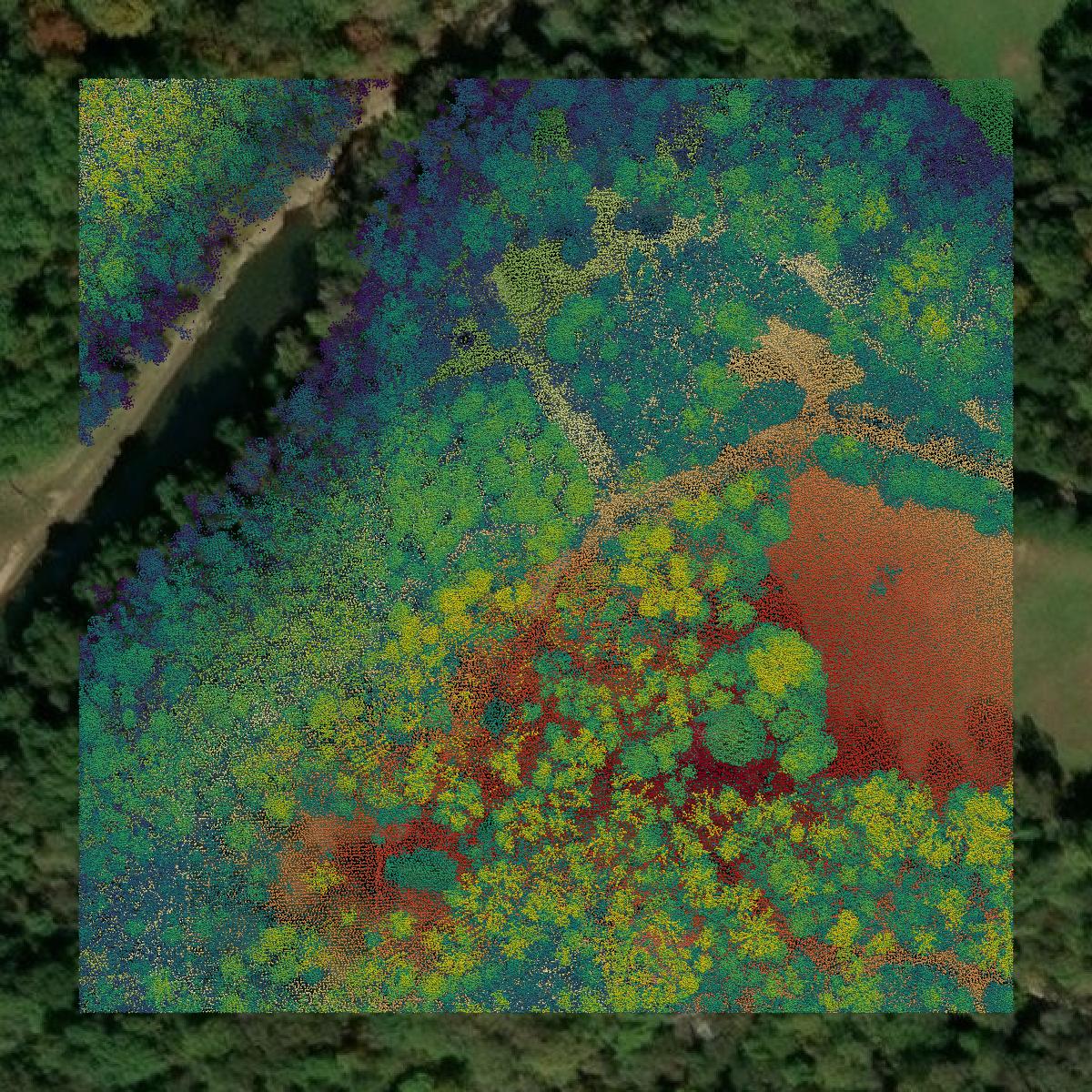 This image shows a LiDAR point cloud in Oconee County created using GIS data in Equator.
