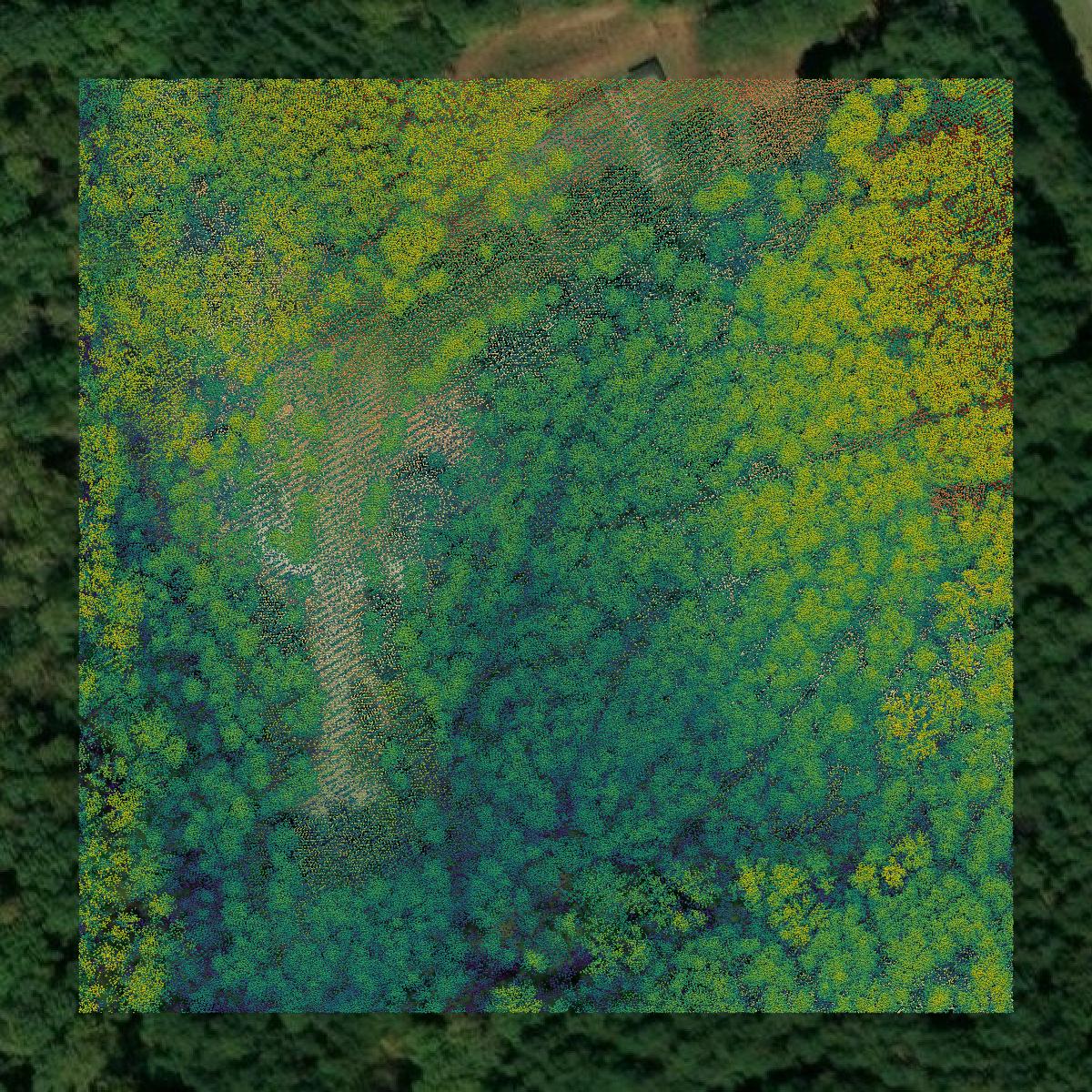 This image shows a LiDAR point cloud in Oconee County created using GIS data in Equator.
