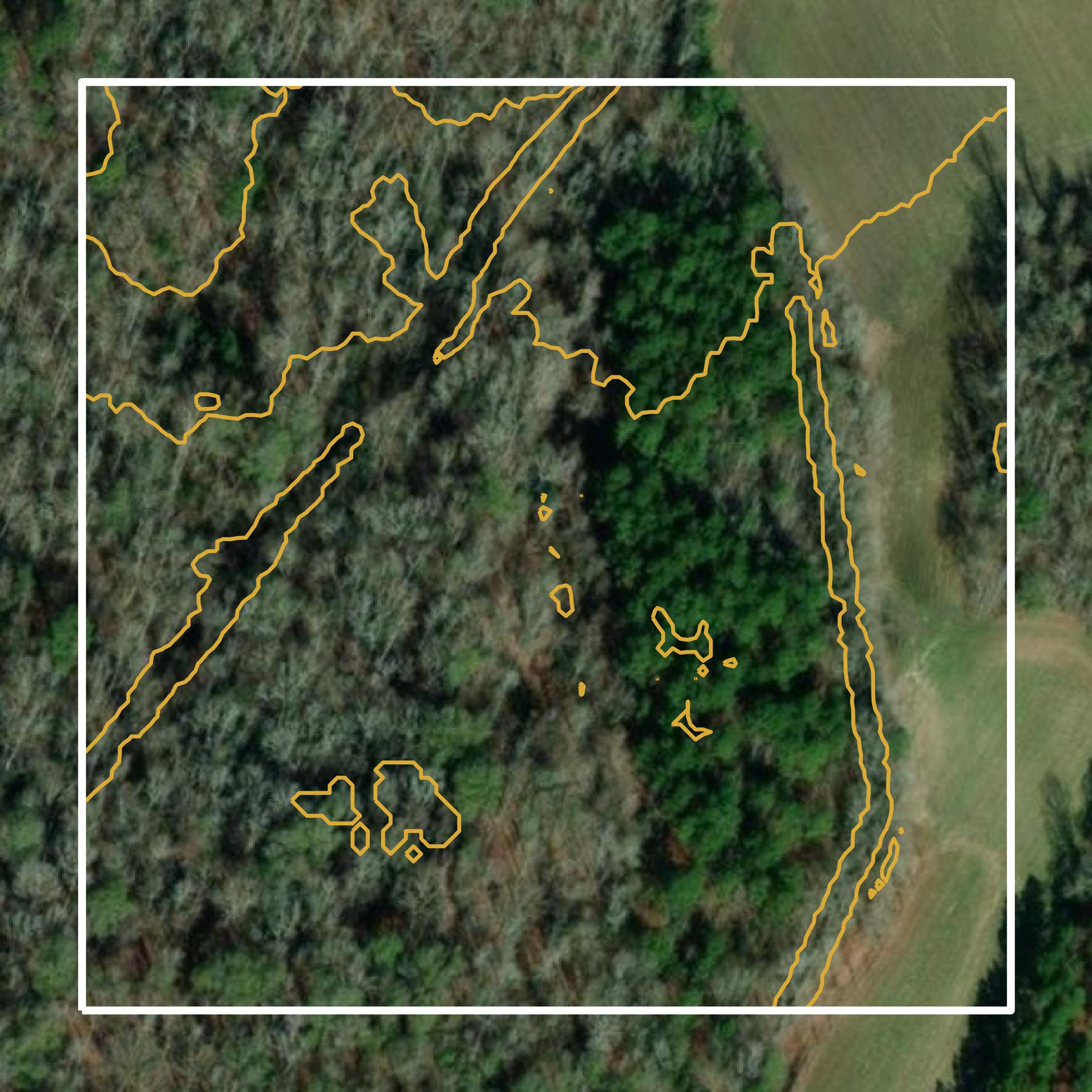This image shows a contour map in Orangeburg County created using GIS data in Equator.