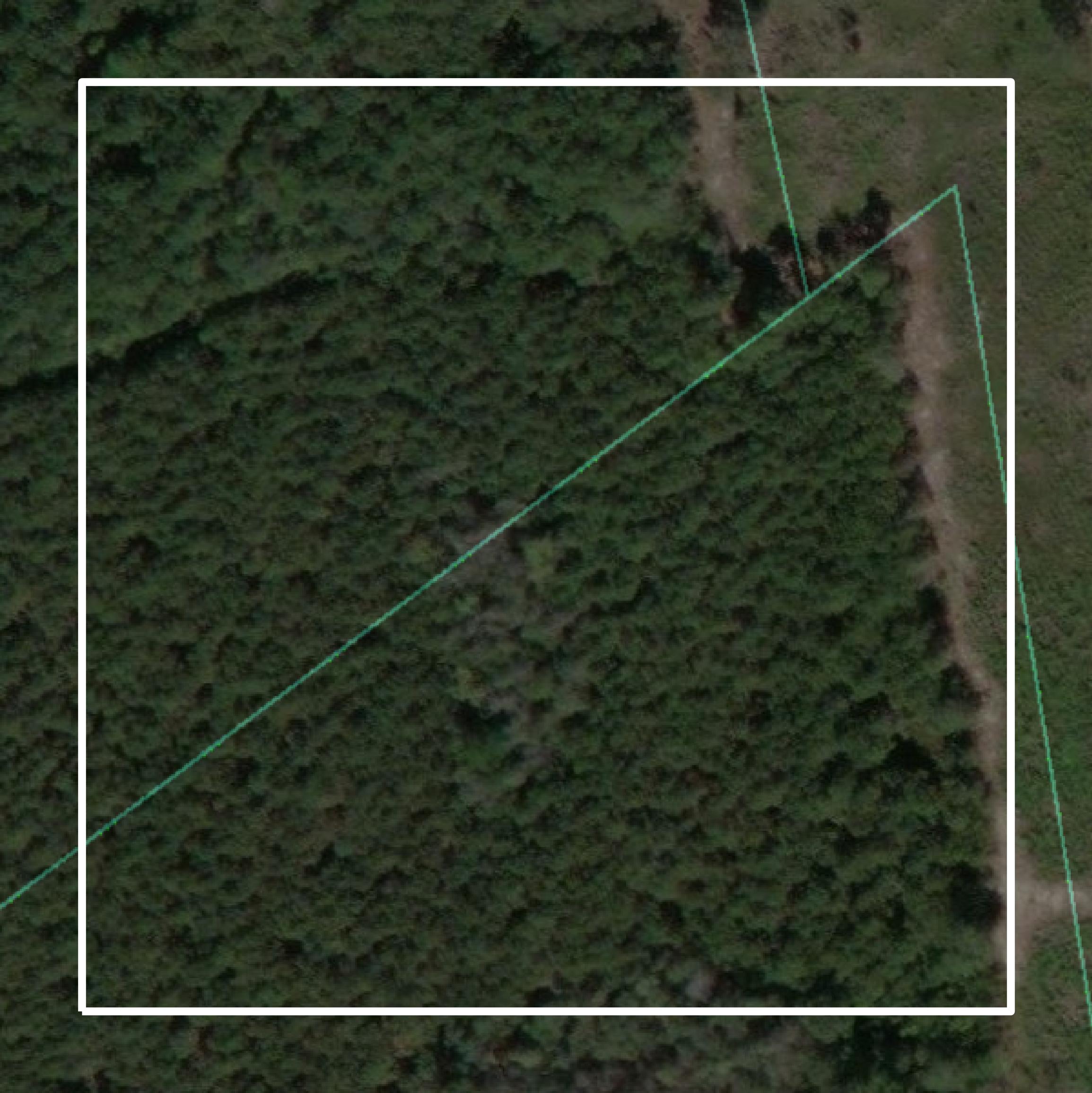 This image shows parcel and building data in Orangeburg County created using GIS data in Equator.