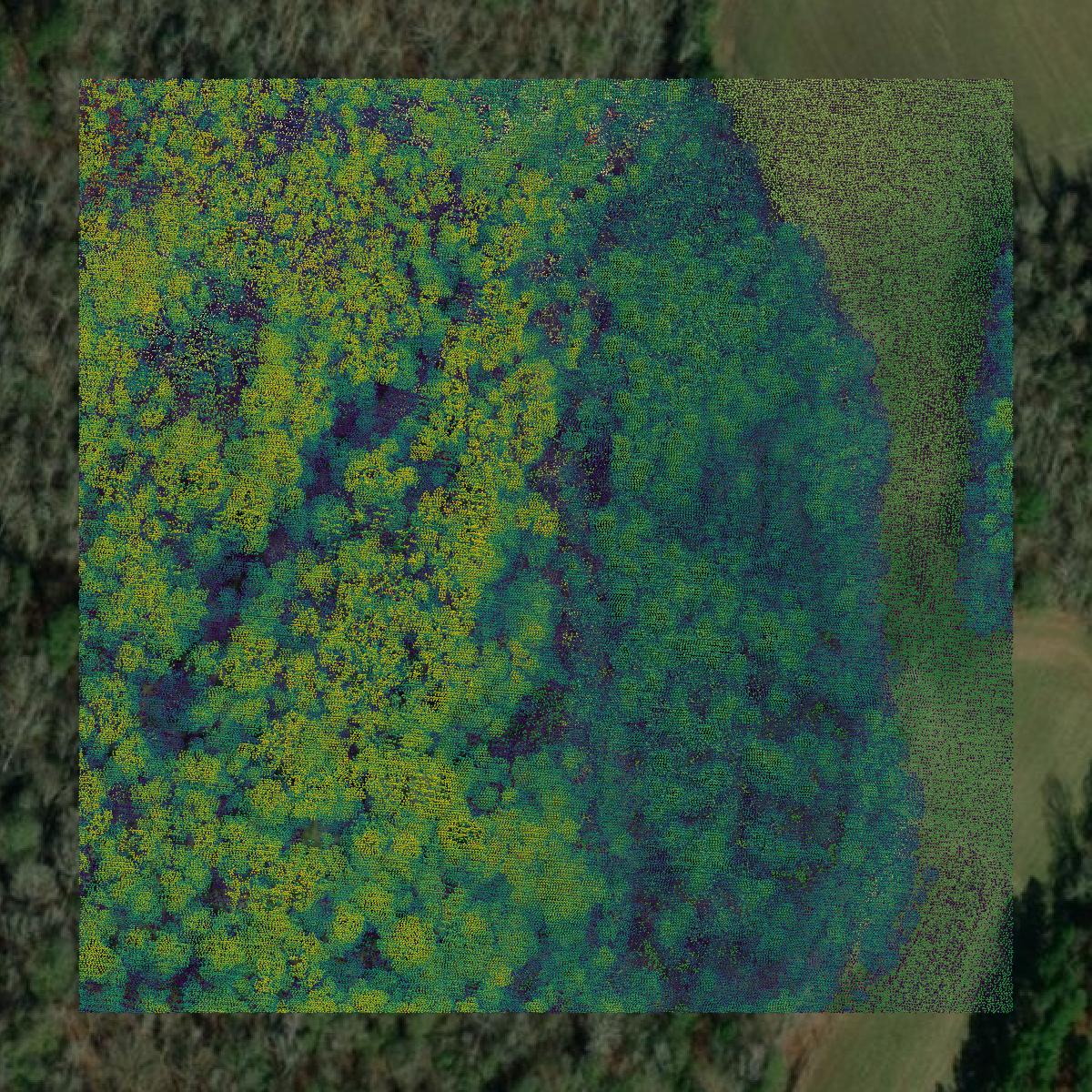 This image shows a LiDAR point cloud in Orangeburg County created using GIS data in Equator.
