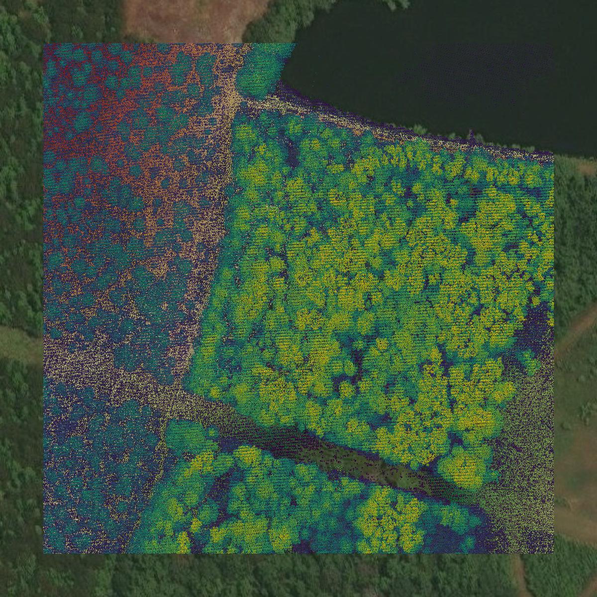 This image shows a LiDAR point cloud in Orangeburg County created using GIS data in Equator.