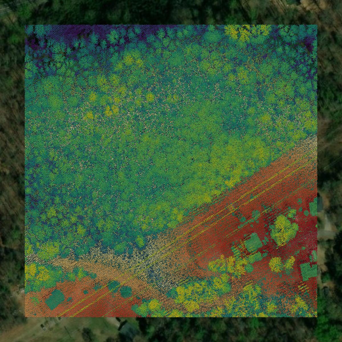 This image shows a LiDAR point cloud in Pickens County created using GIS data in Equator.