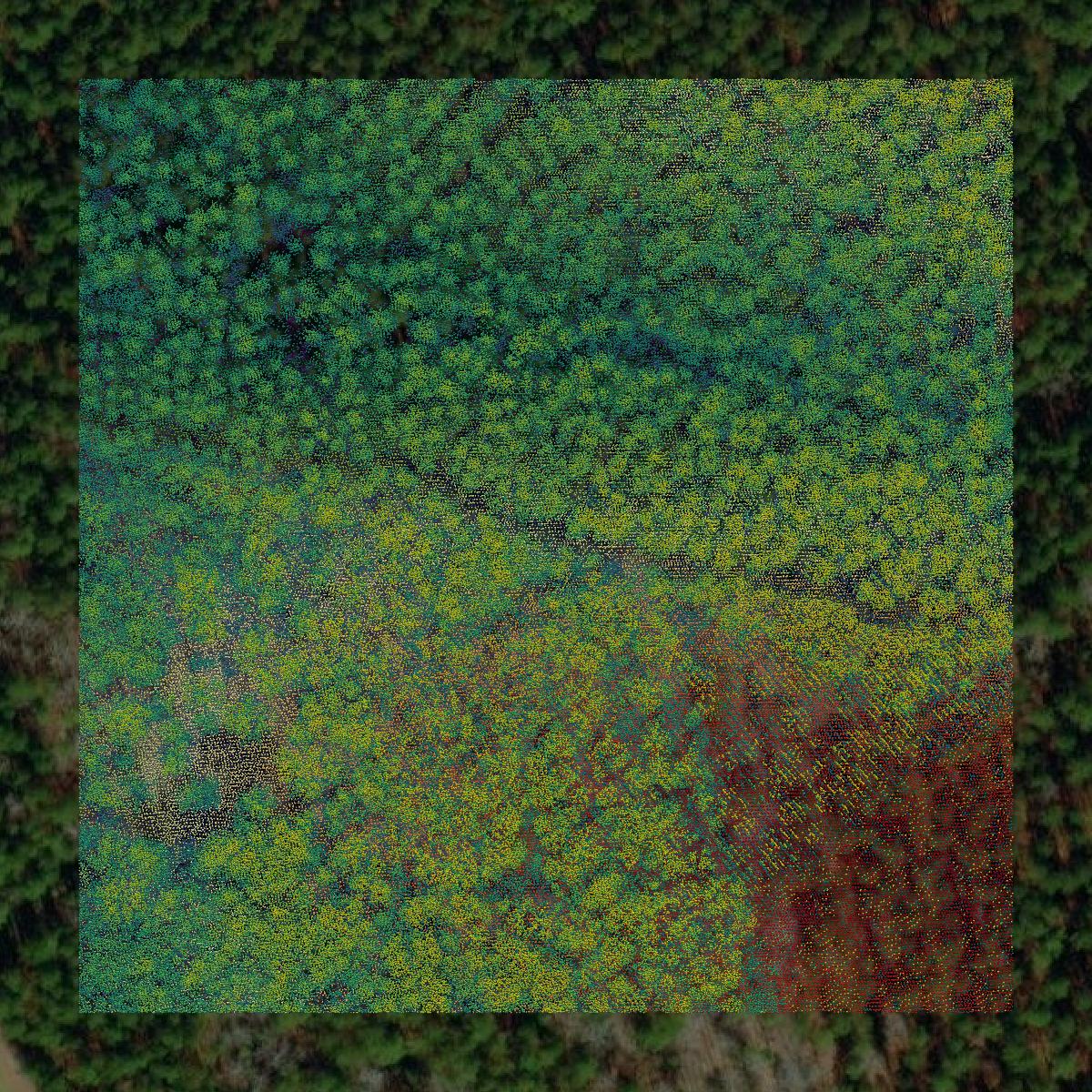 This image shows a LiDAR point cloud in Saluda County created using GIS data in Equator.