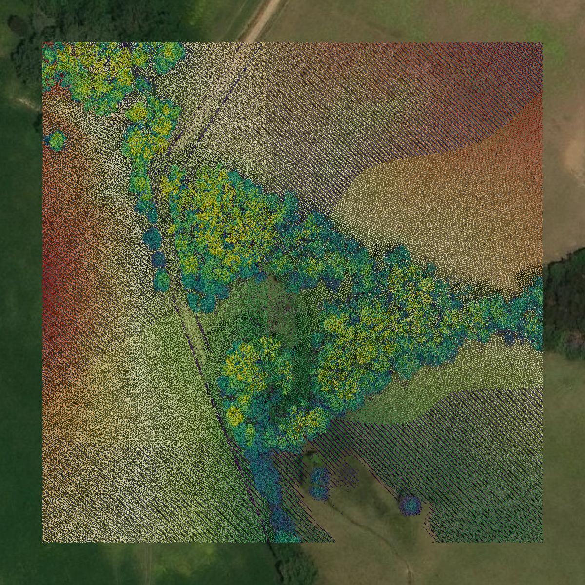 This image shows a LiDAR point cloud in Saluda County created using GIS data in Equator.