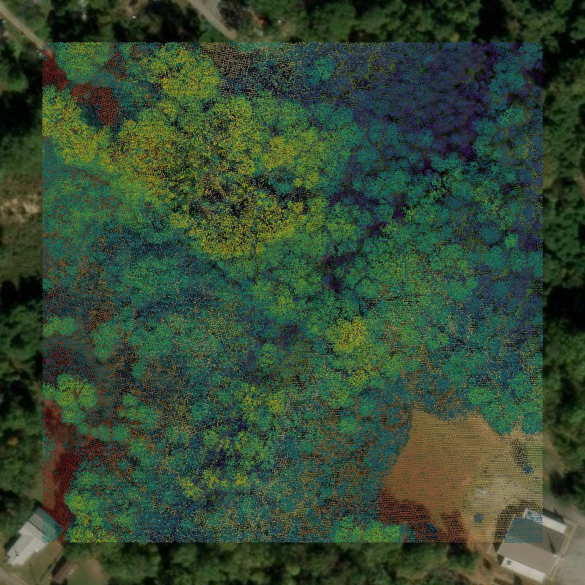This image shows a LiDAR point cloud in Spartanburg County created using GIS data in Equator.