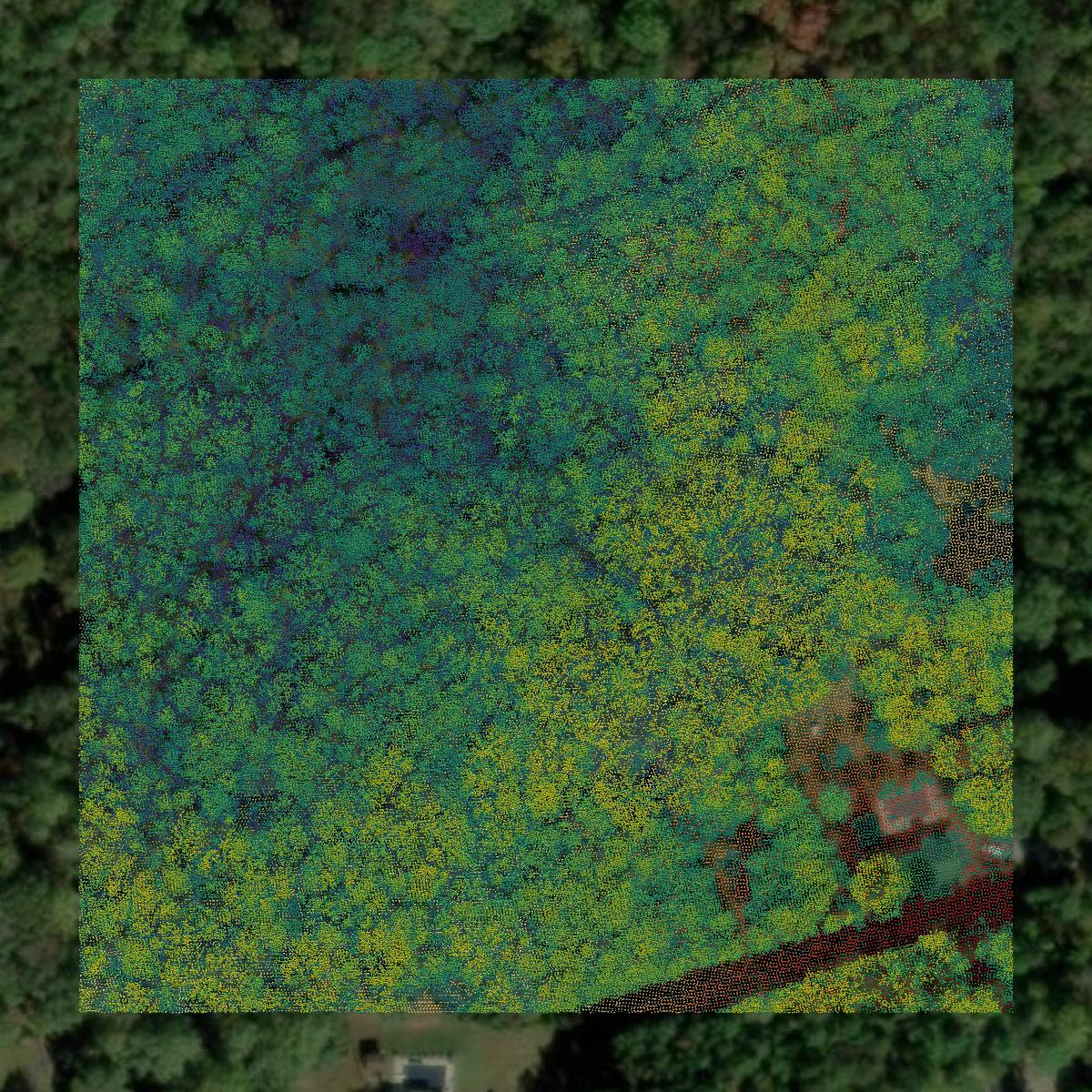 This image shows a LiDAR point cloud in Spartanburg County created using GIS data in Equator.