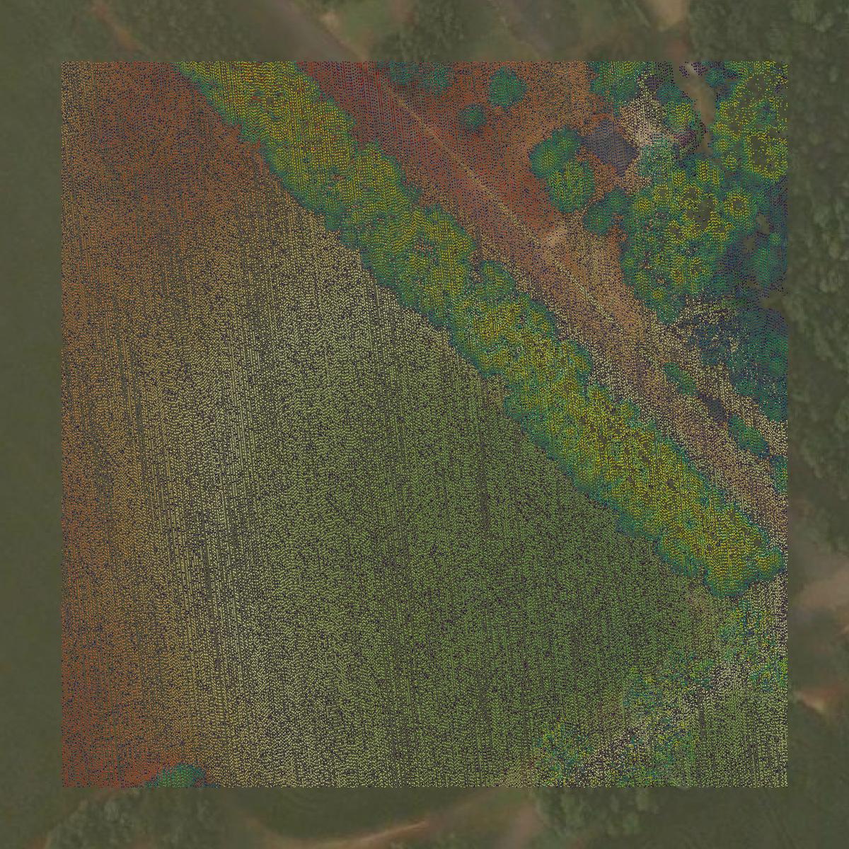 This image shows a LiDAR point cloud in Sumter County created using GIS data in Equator.