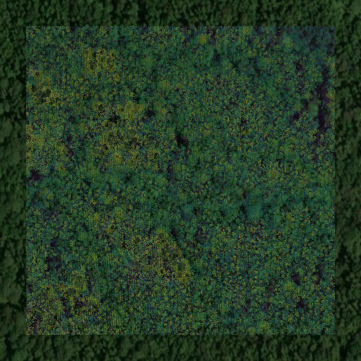 This image shows a LiDAR point cloud in Sumter County created using GIS data in Equator.