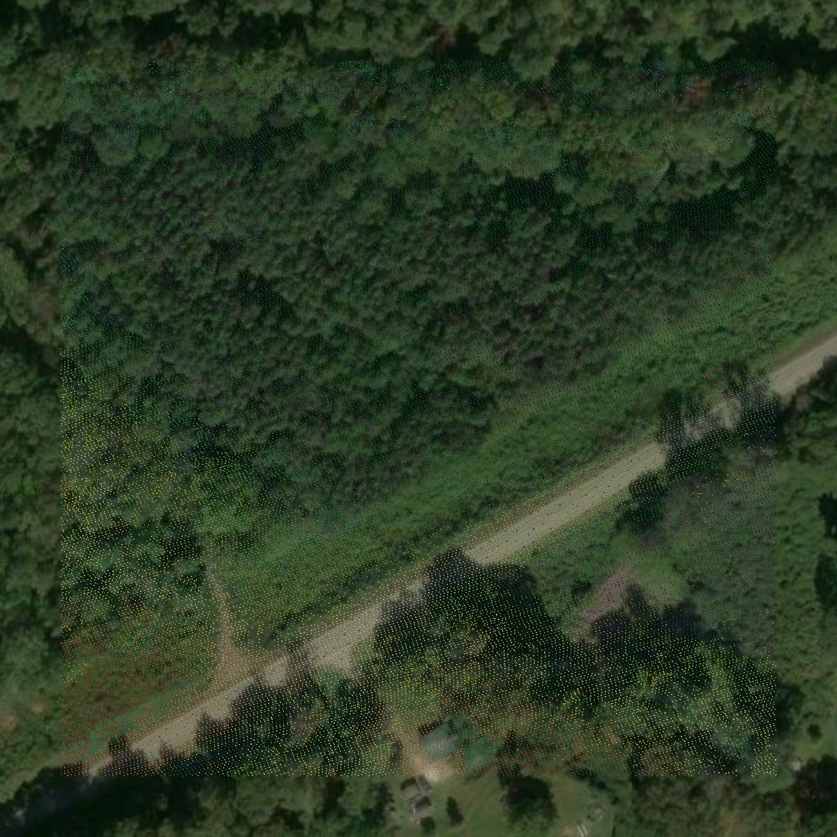 This image shows a LiDAR point cloud in Union County created using GIS data in Equator.