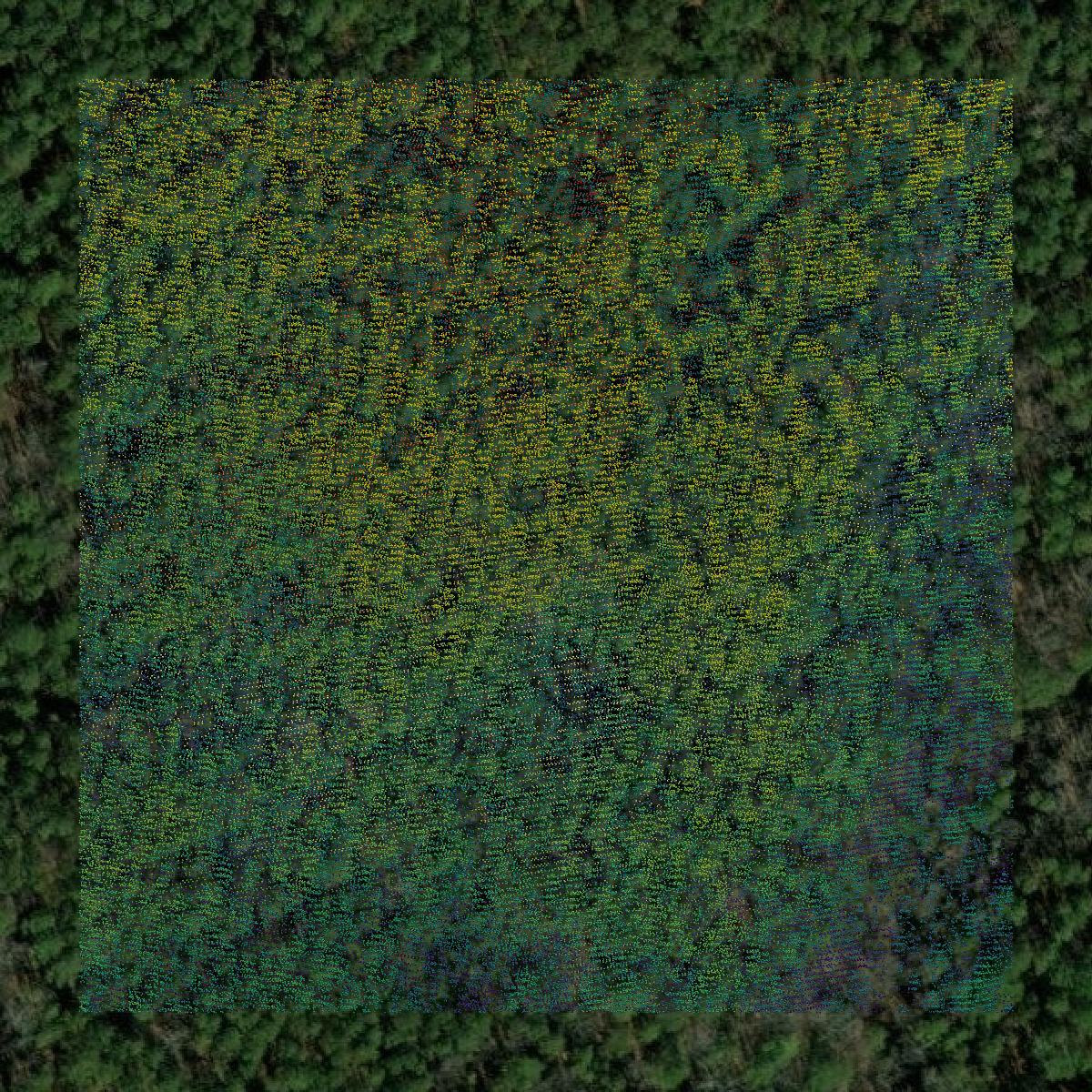 This image shows a LiDAR point cloud in Union County created using GIS data in Equator.