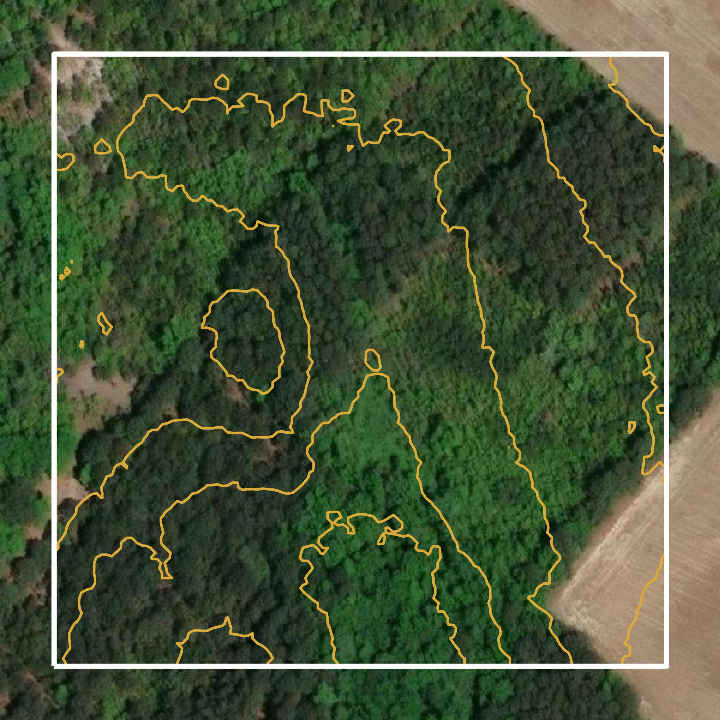This image shows a contour map in Williamsburg County created using GIS data in Equator.